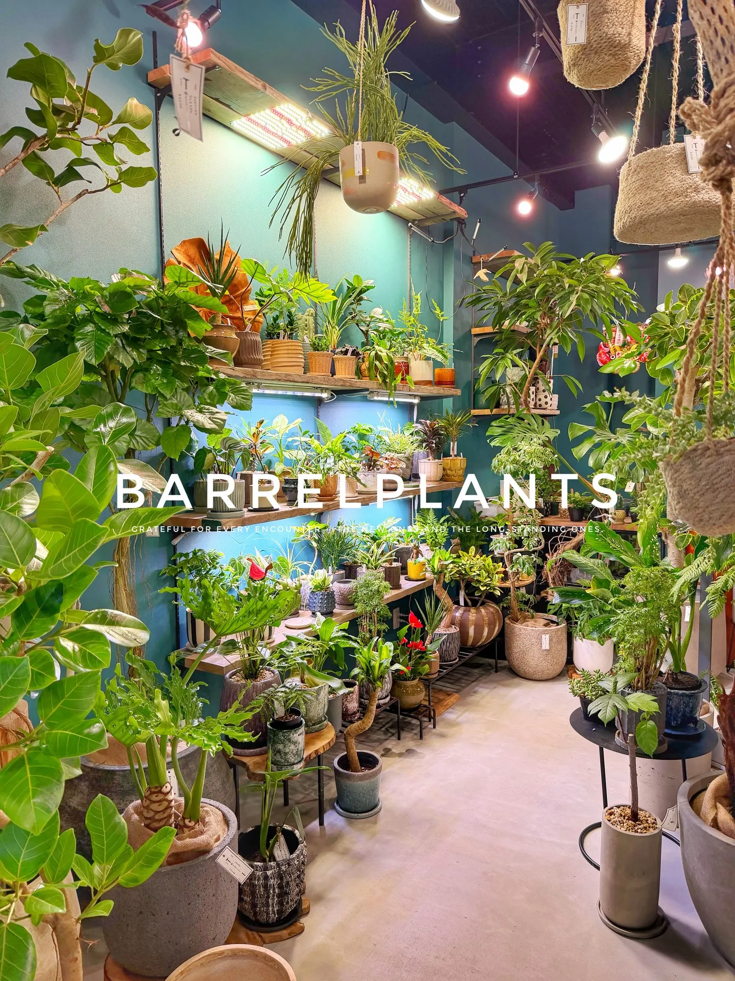 【こだわりの植物とこだわりの鉢のお店、barrelplant...