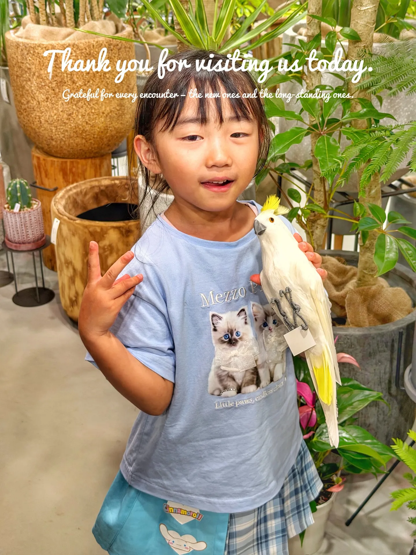 【植物から始まる一期一会、植物専門店barrelplants...