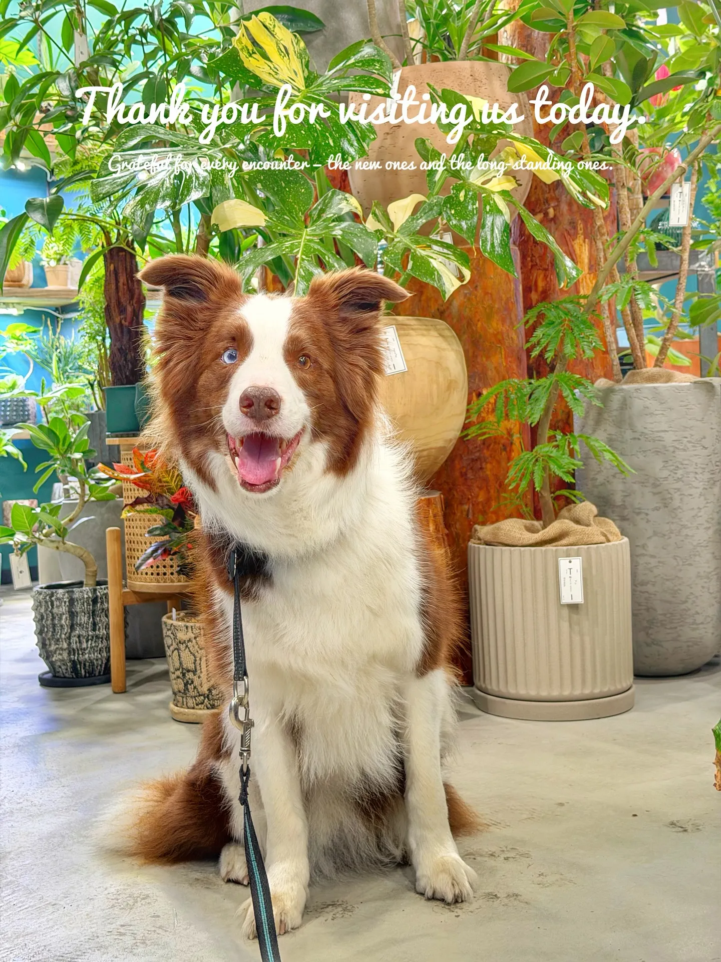 【植物から始まる一期一会、植物専門店barrelplants...