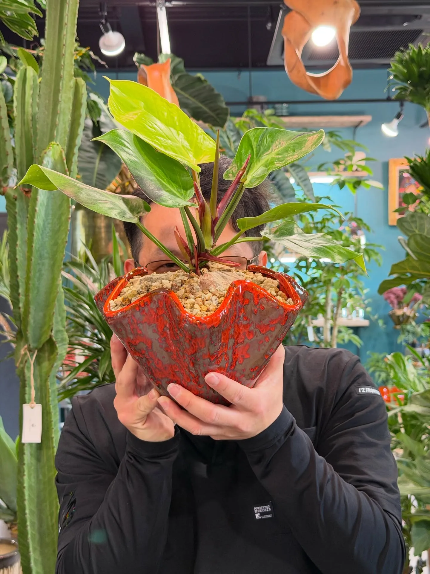 【植物から始まる一期一会、植物専門店barrelplants...
