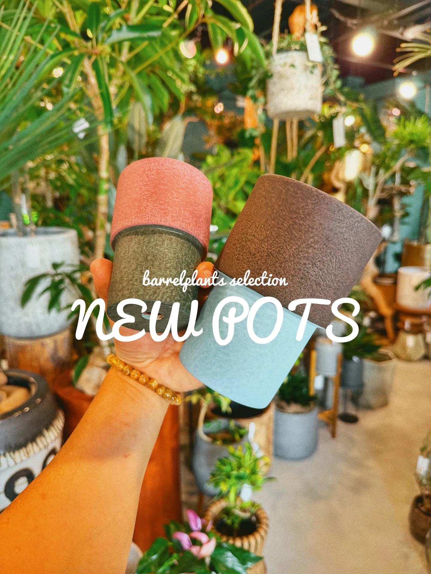 「植物より先に、鉢で惚れるやつ。