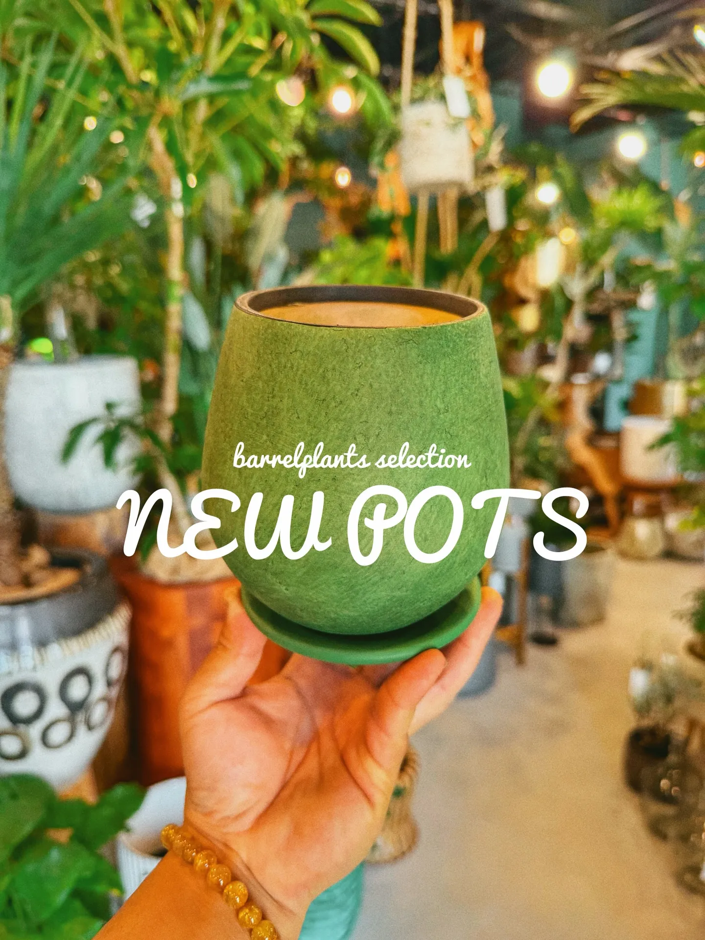 「植物より先に、鉢で惚れるやつ。