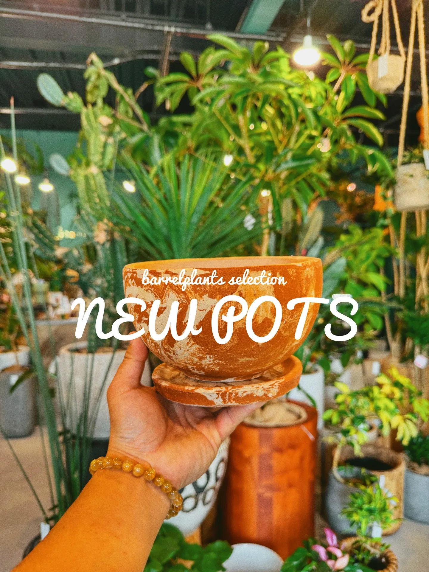 「植物より先に、鉢で惚れるやつ。