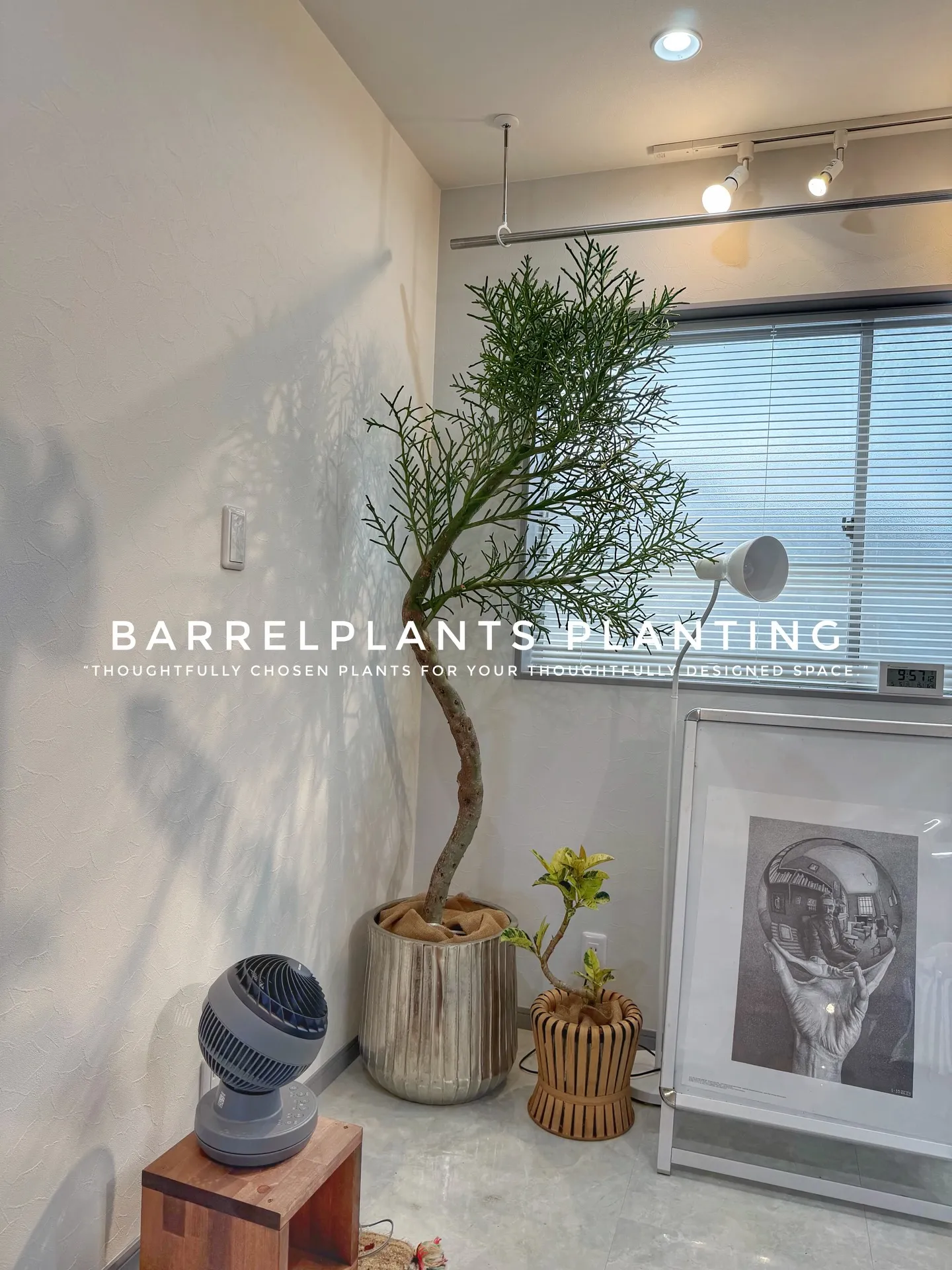 『これが、barrelplantsのトータルコーディネート💘...