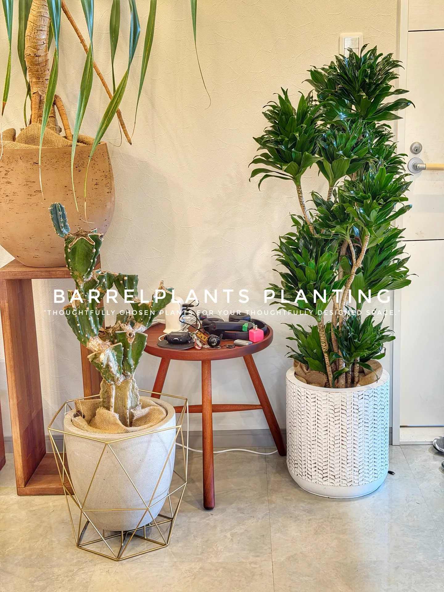 『これが、barrelplantsのトータルコーディネート💘...