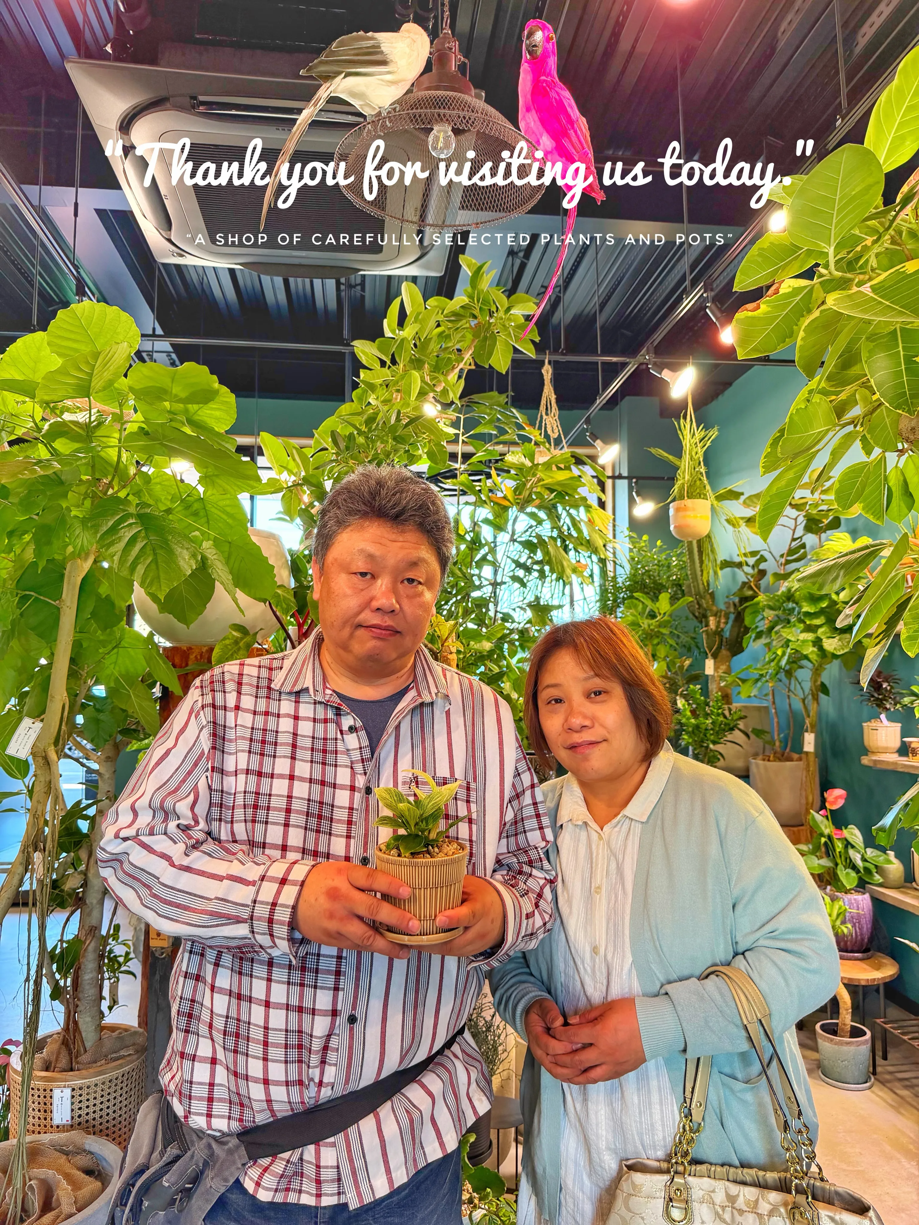 「植物とお客様。