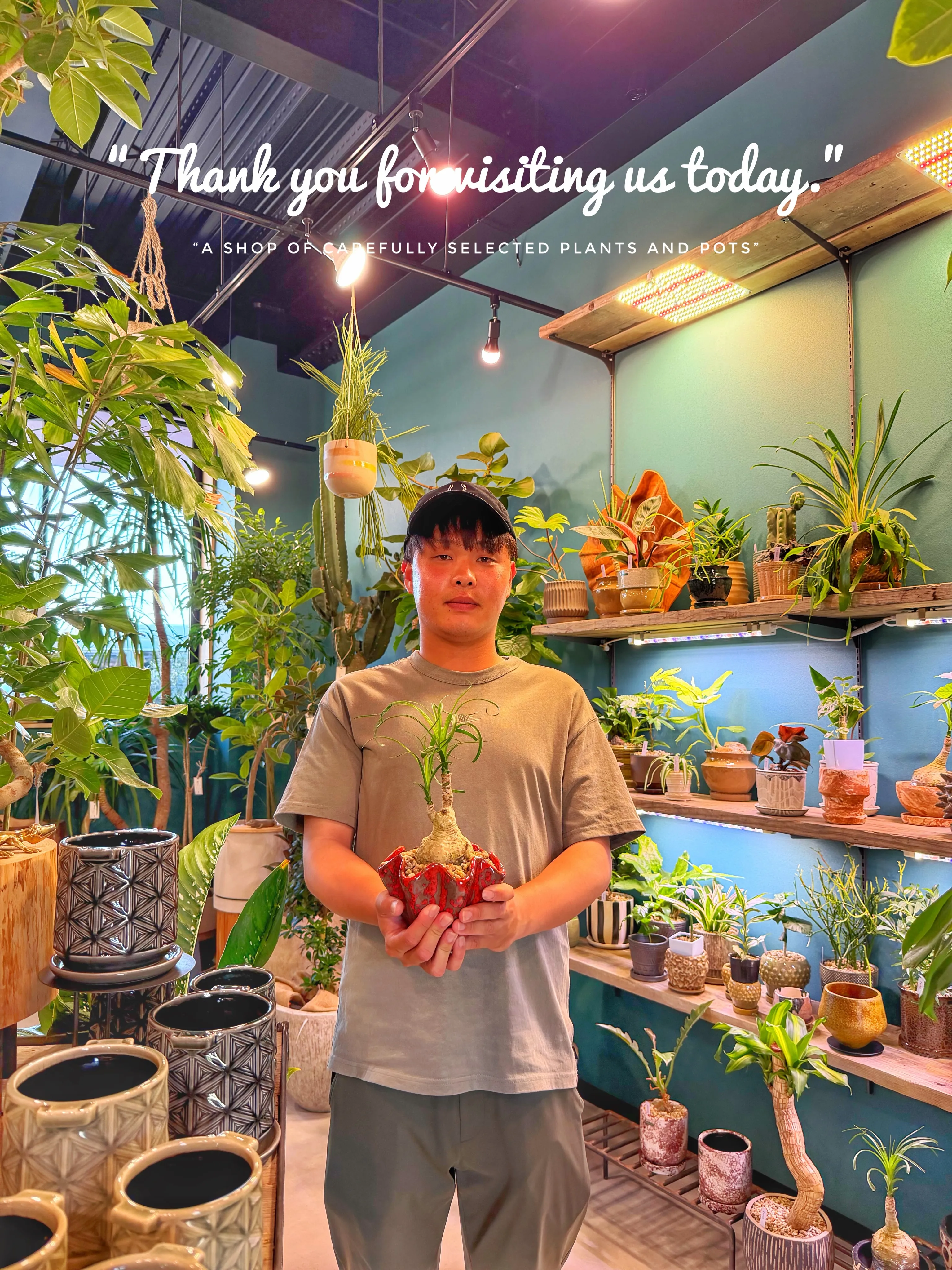 「植物とお客様。