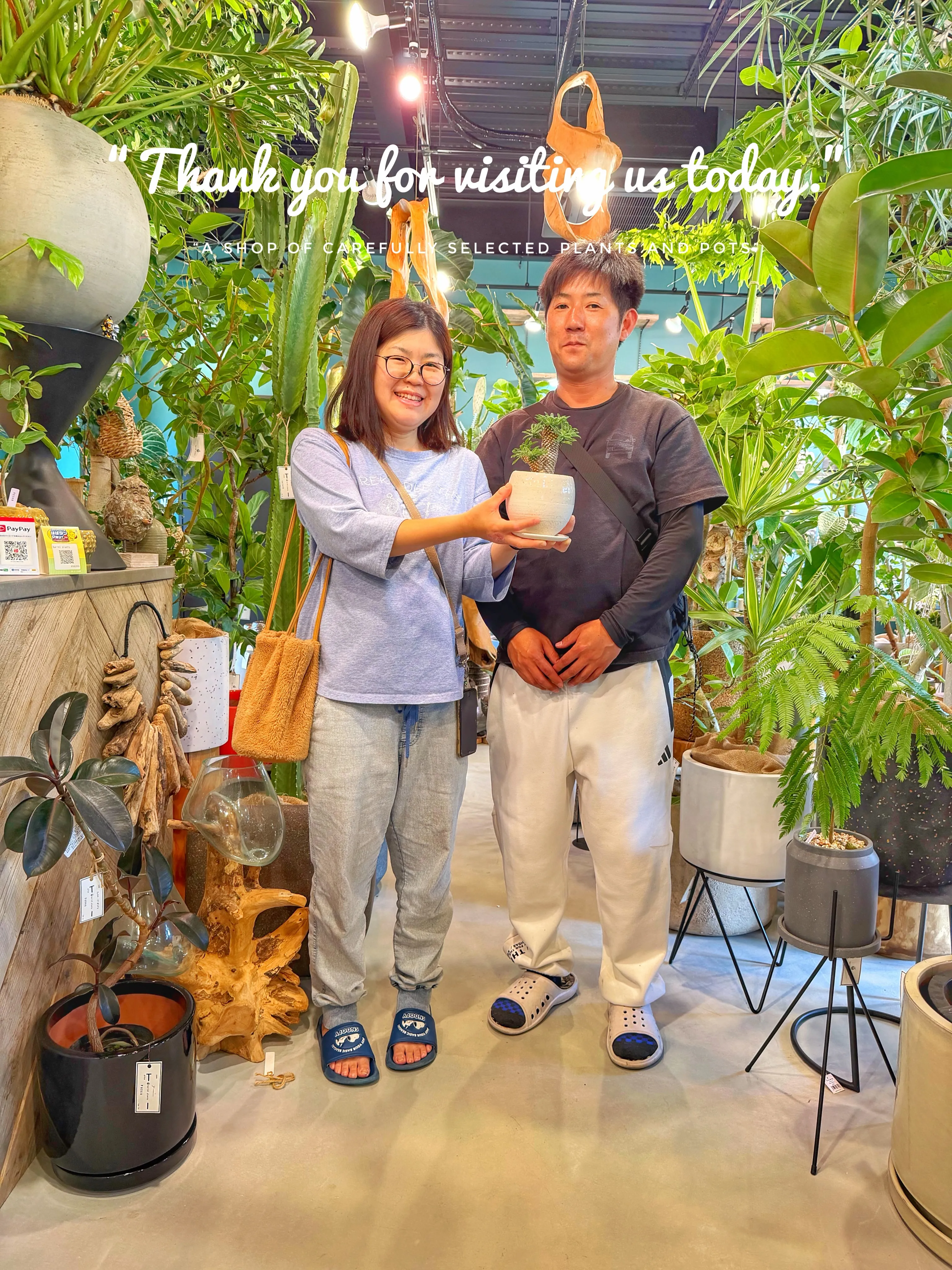 「植物とお客様。