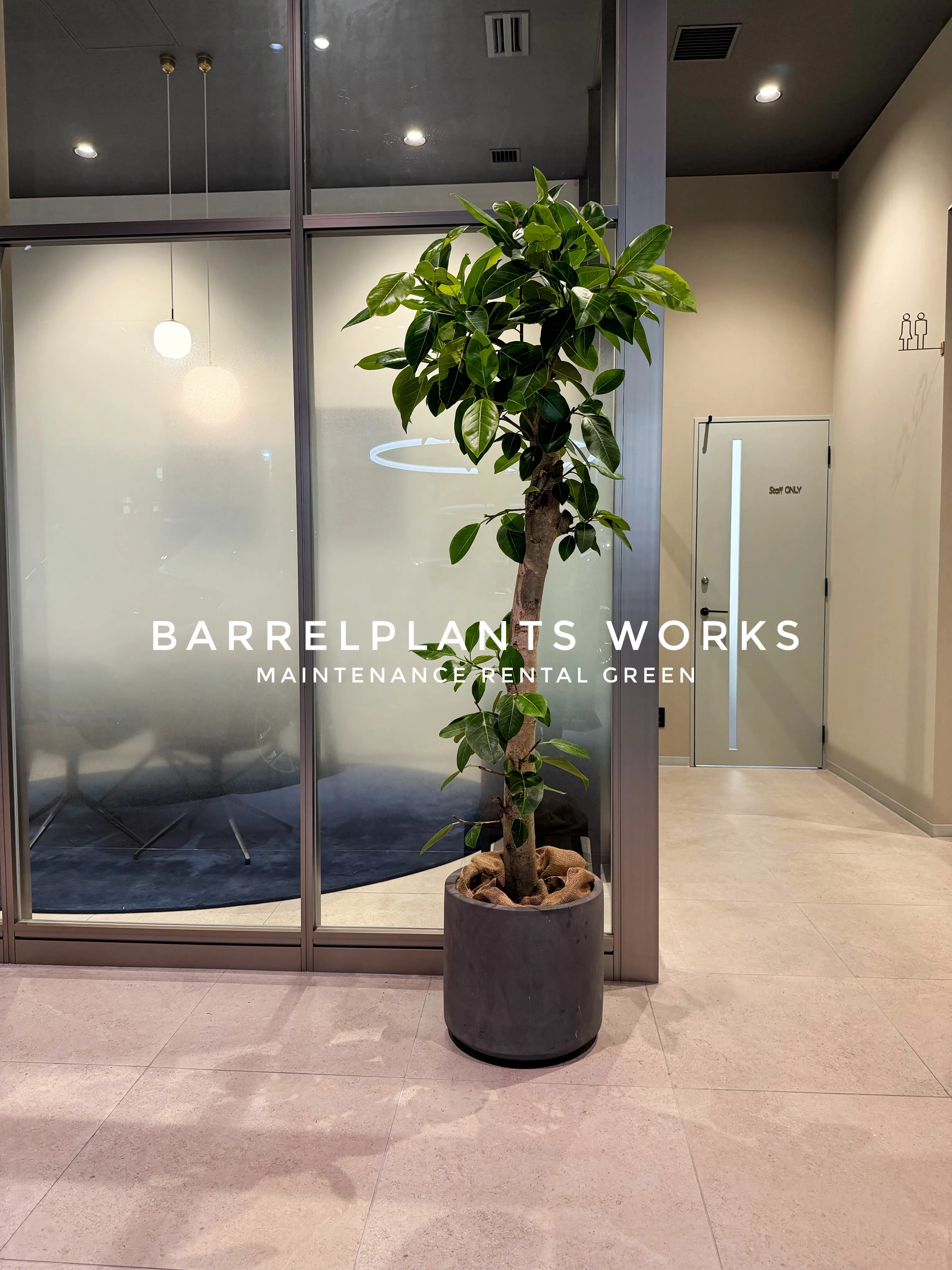 BARRELPLANTS WORKS｜メンテナンスリースでつ...