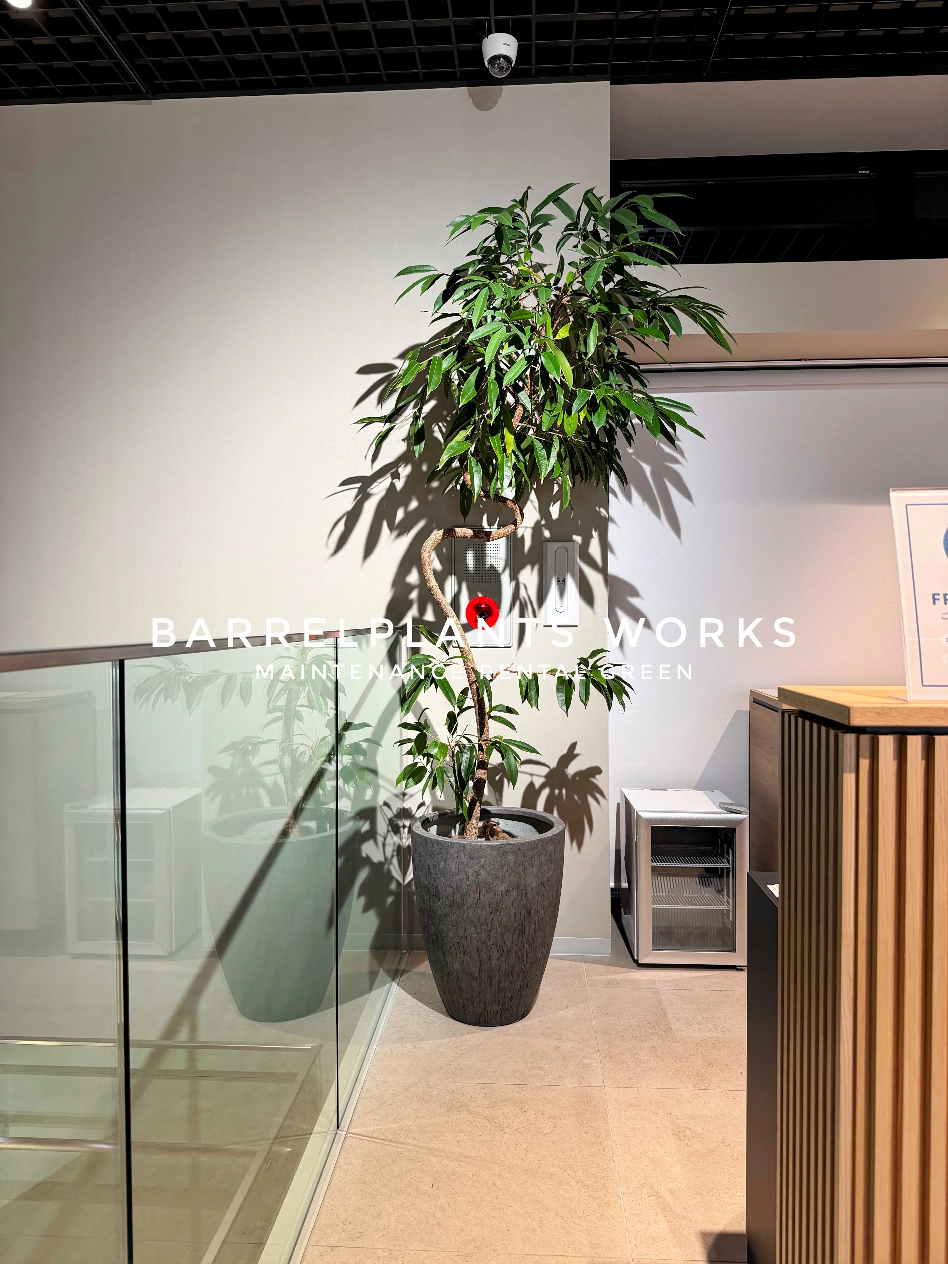BARRELPLANTS WORKS｜メンテナンスリースでつ...