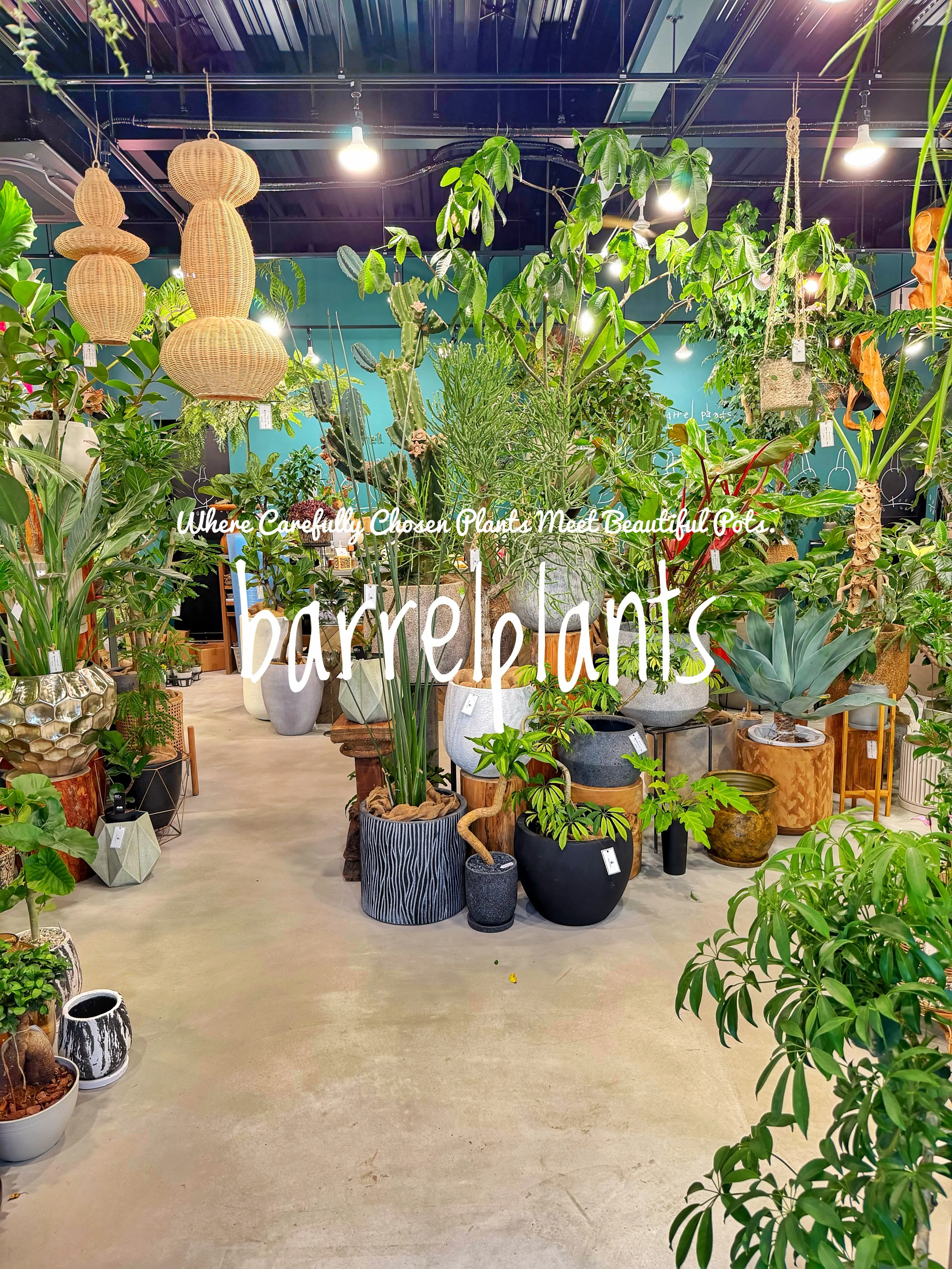 植物を選ぶ時間まで、心地よく。