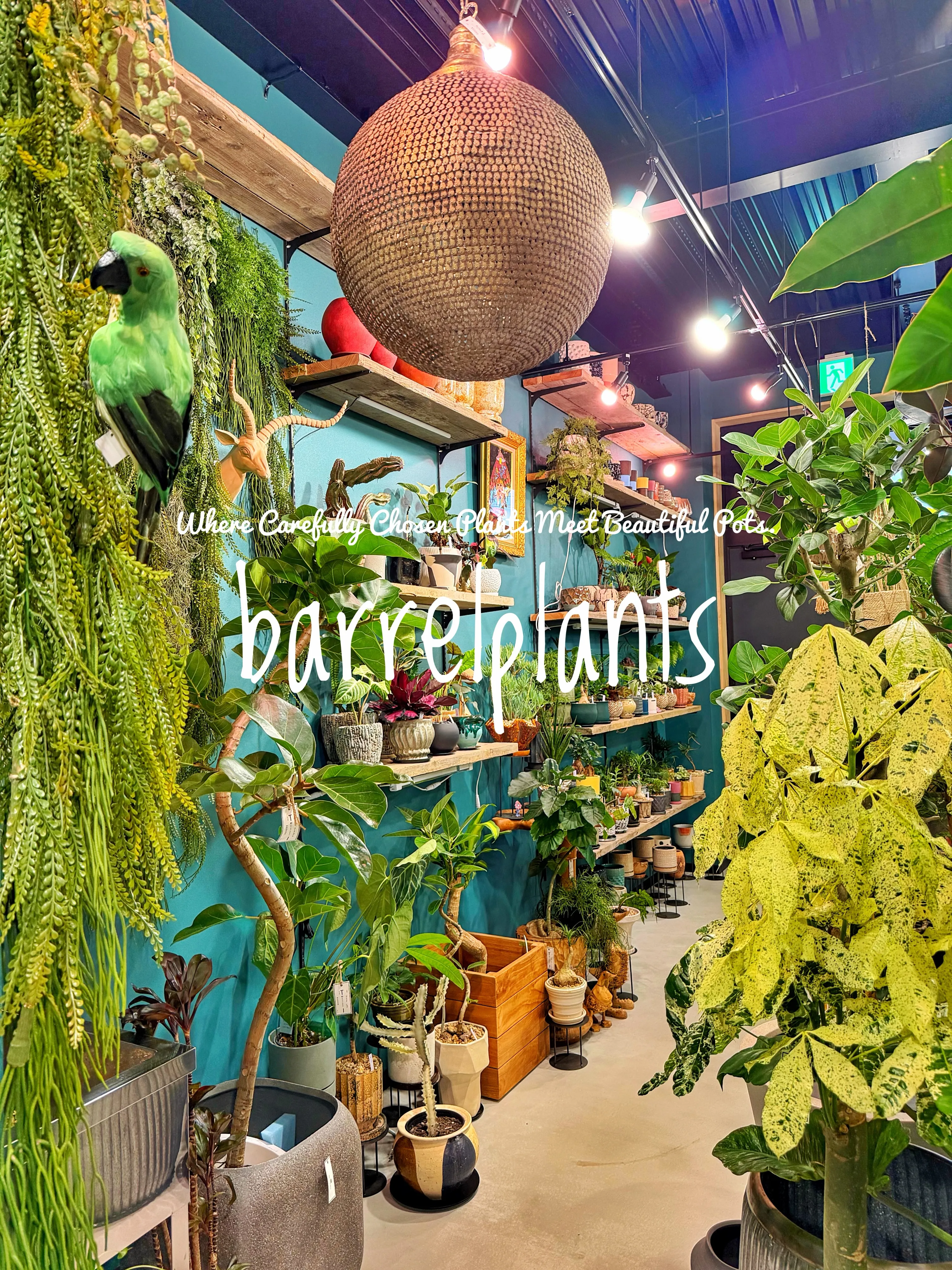 植物を選ぶ時間まで、心地よく。