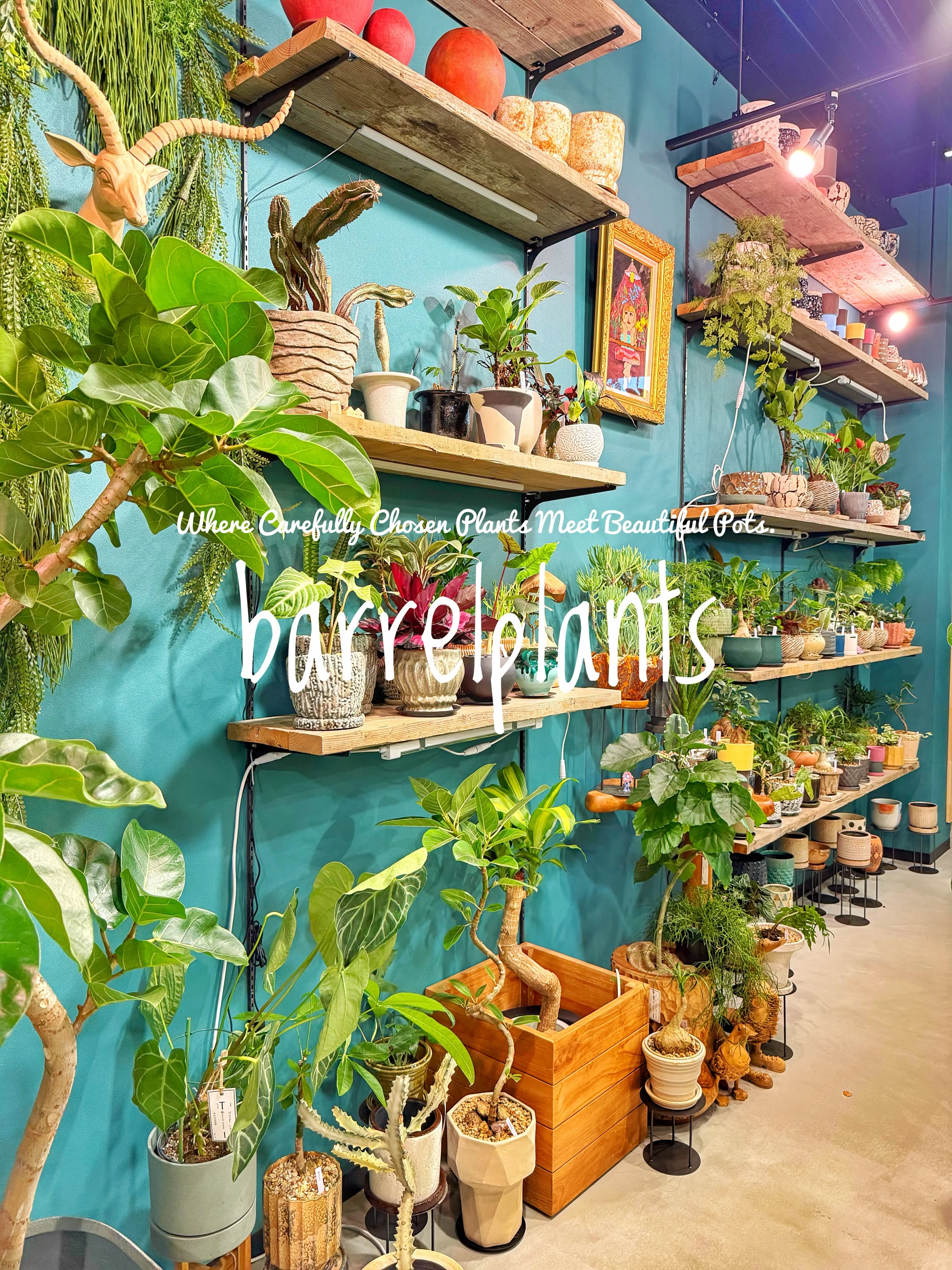 植物を選ぶ時間まで、心地よく。