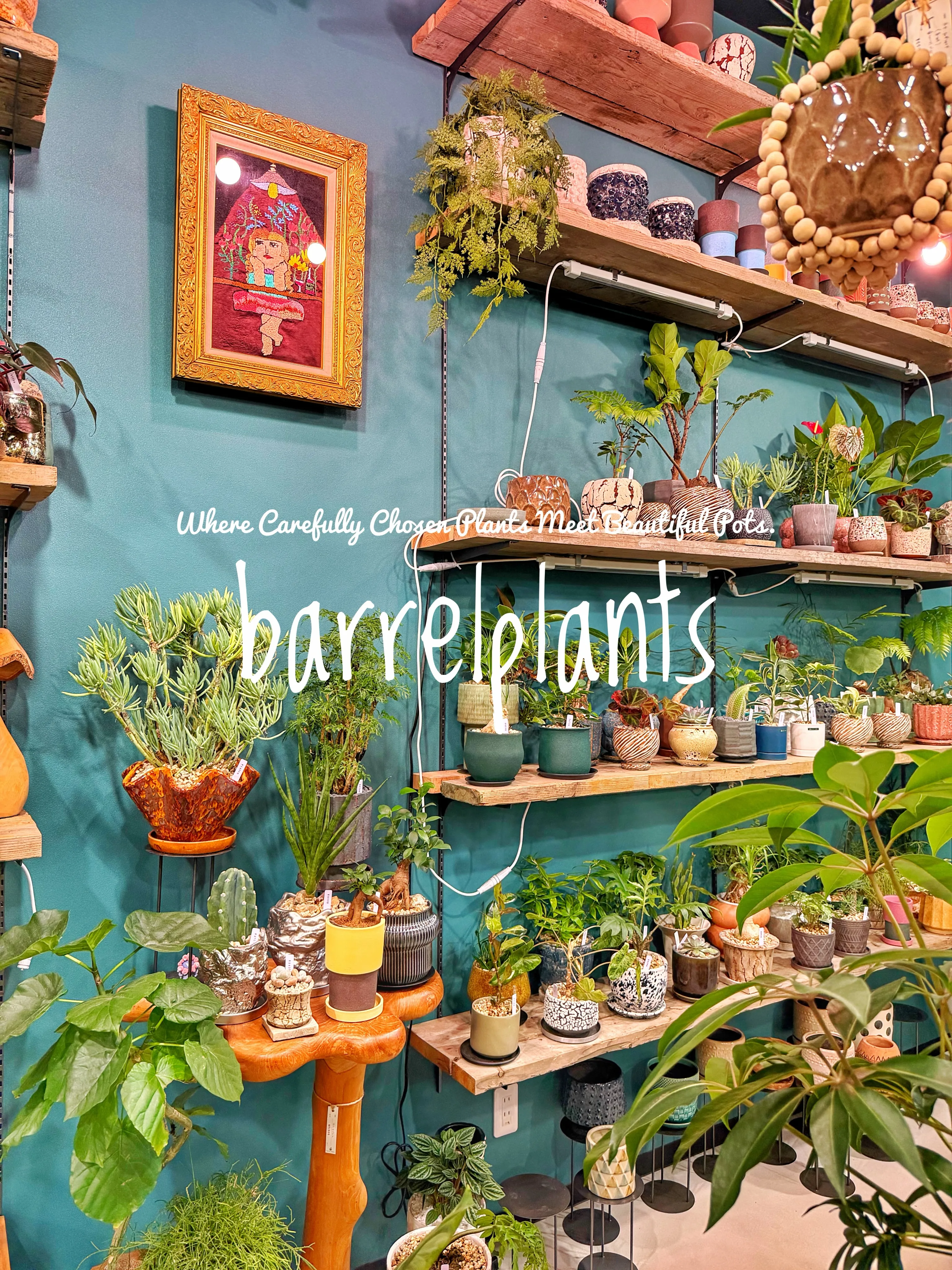 植物を選ぶ時間まで、心地よく。