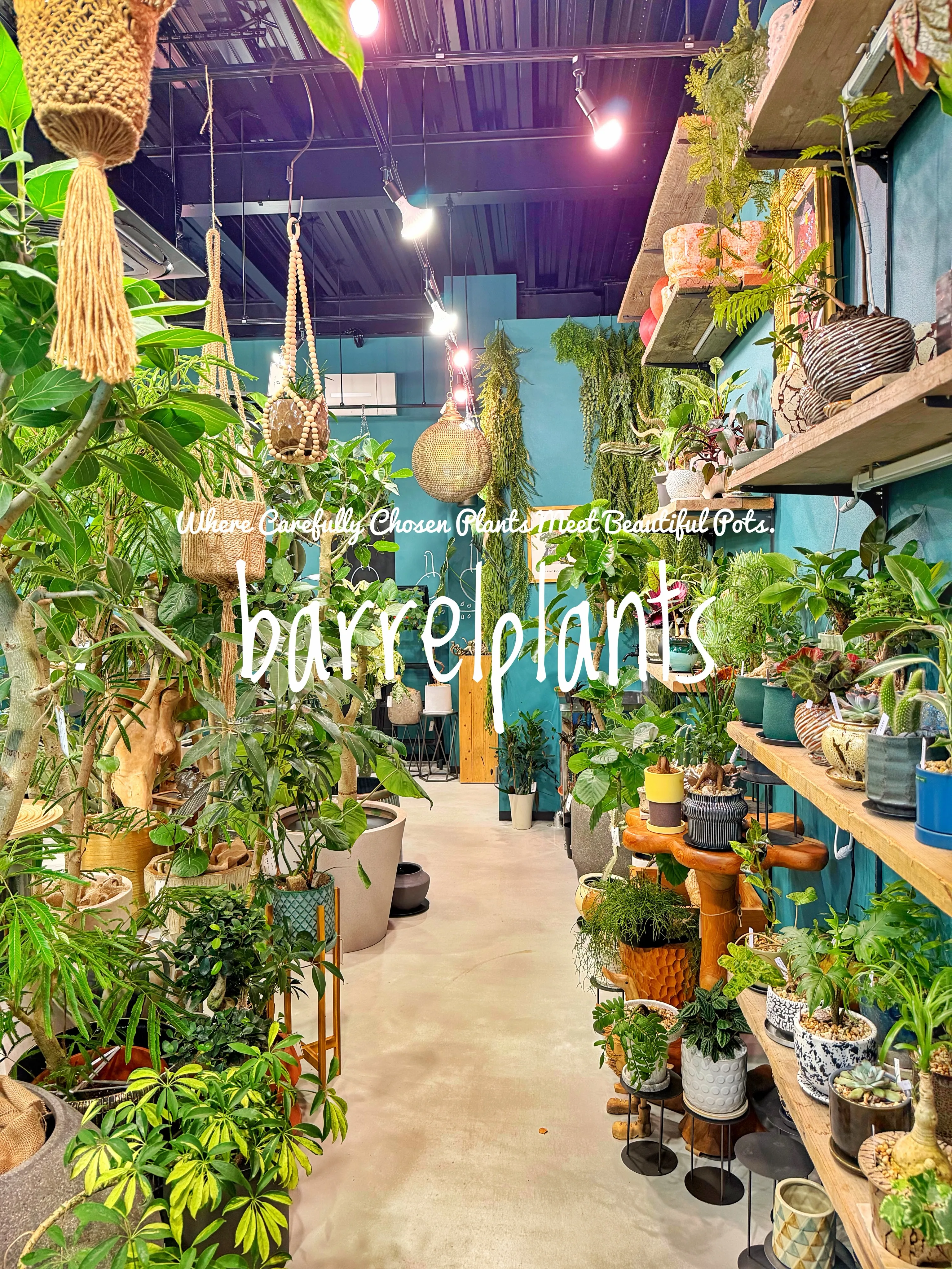 植物を選ぶ時間まで、心地よく。
