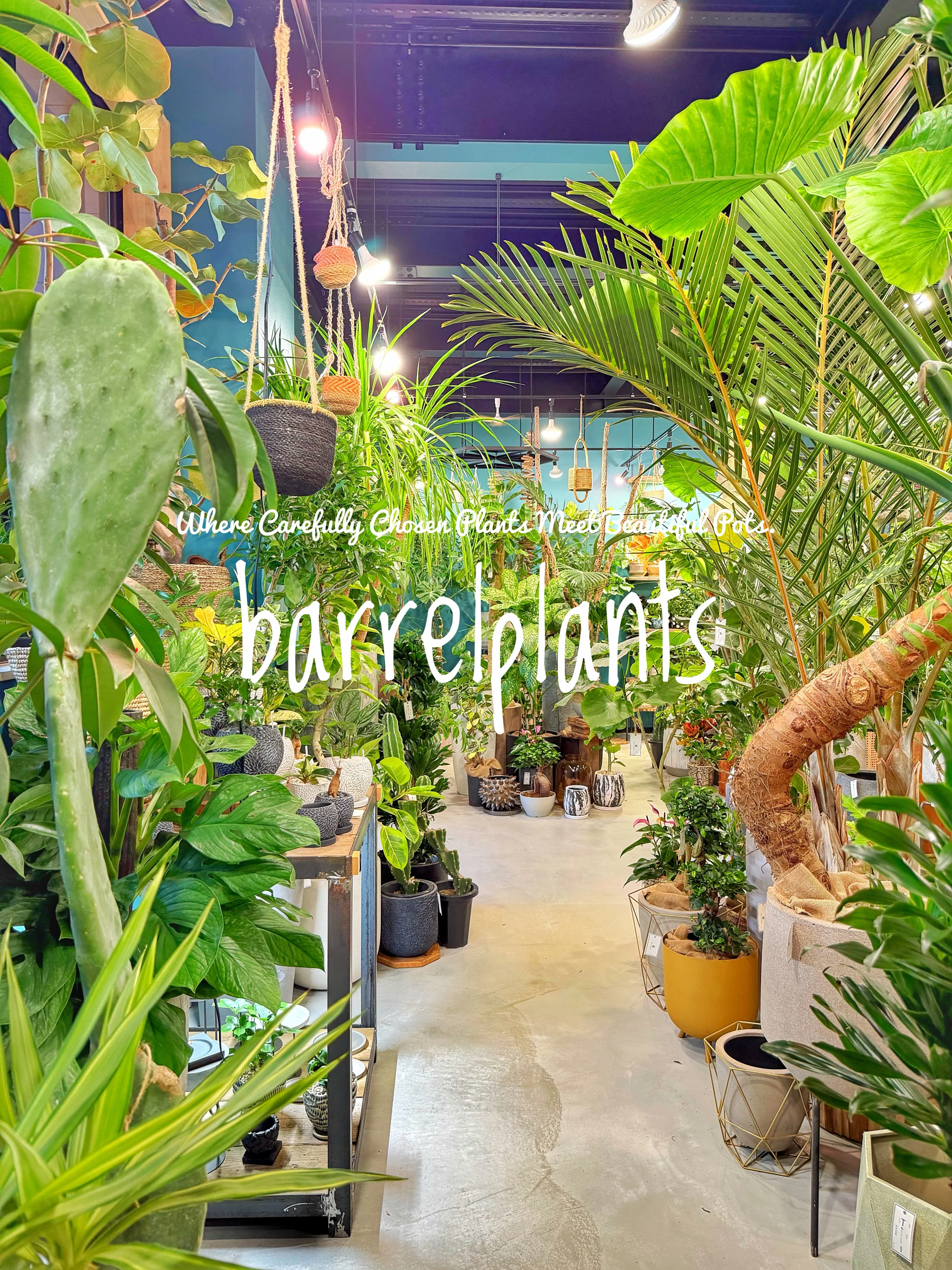 植物を選ぶ時間まで、心地よく。