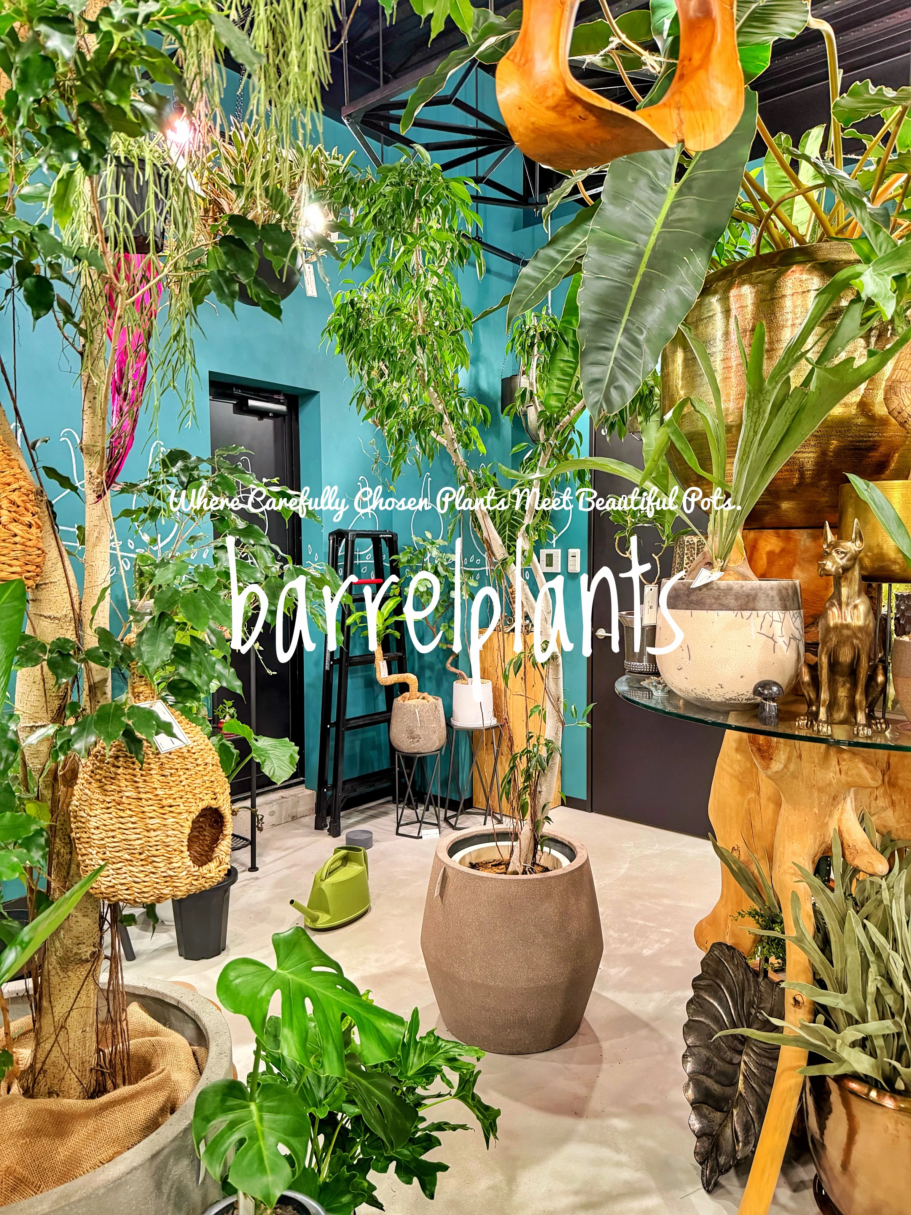 植物を選ぶ時間まで、心地よく。