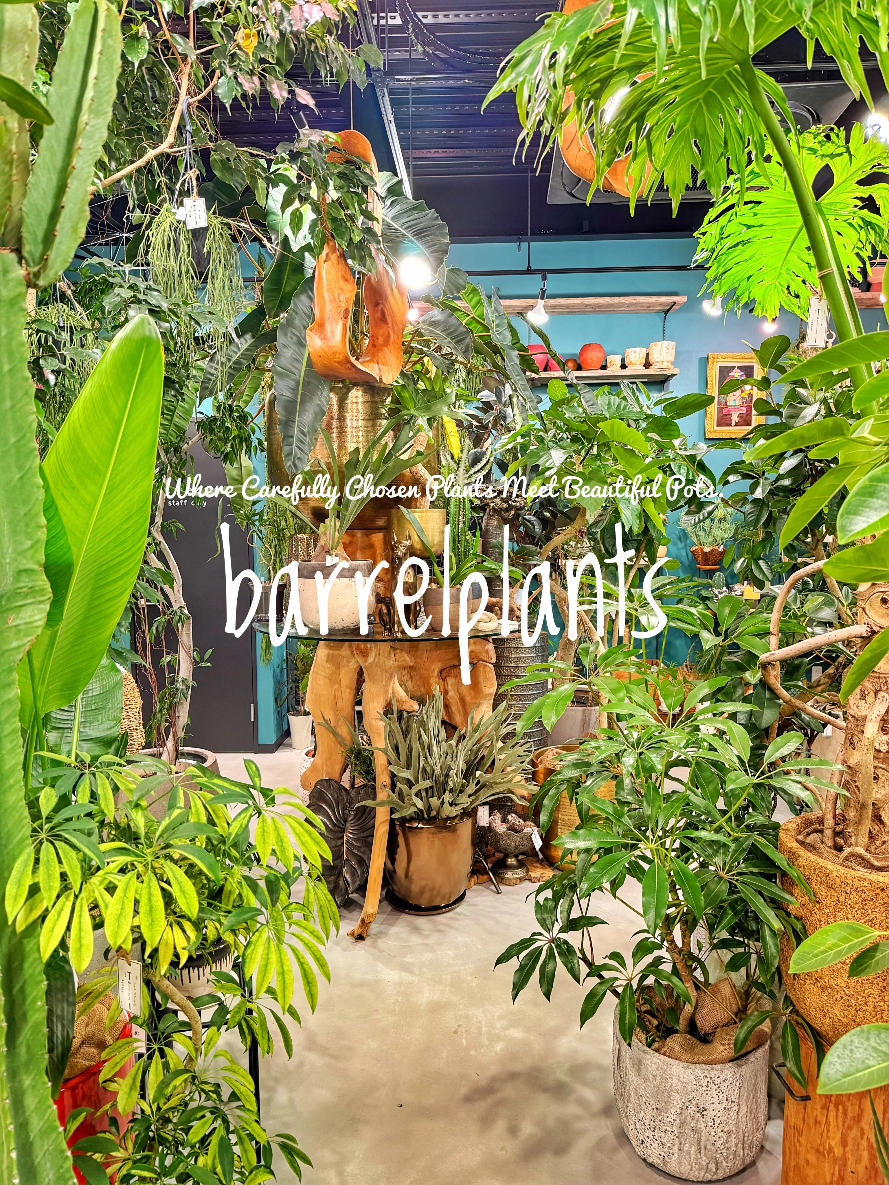 植物を選ぶ時間まで、心地よく。
