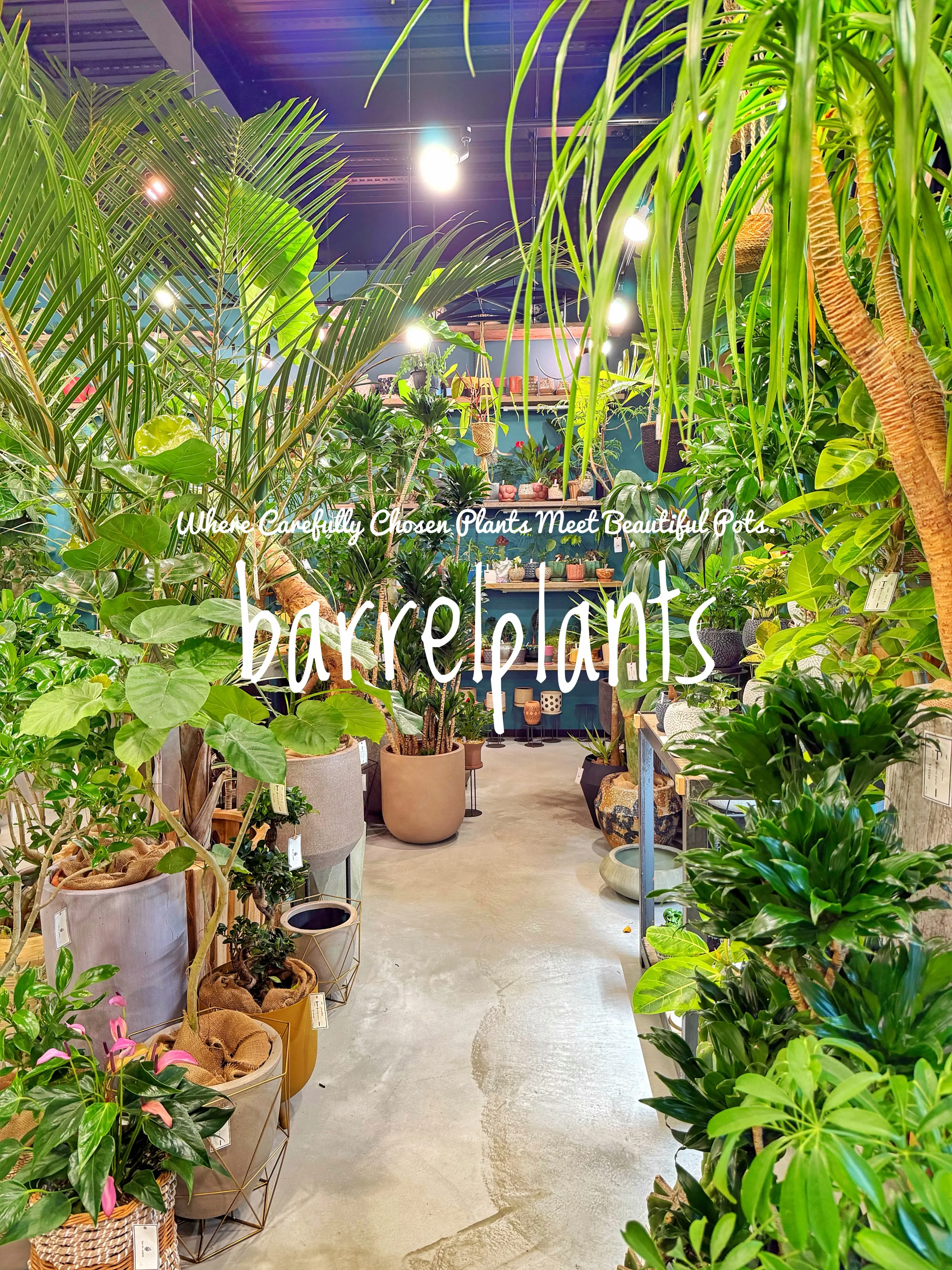 植物を選ぶ時間まで、心地よく。
