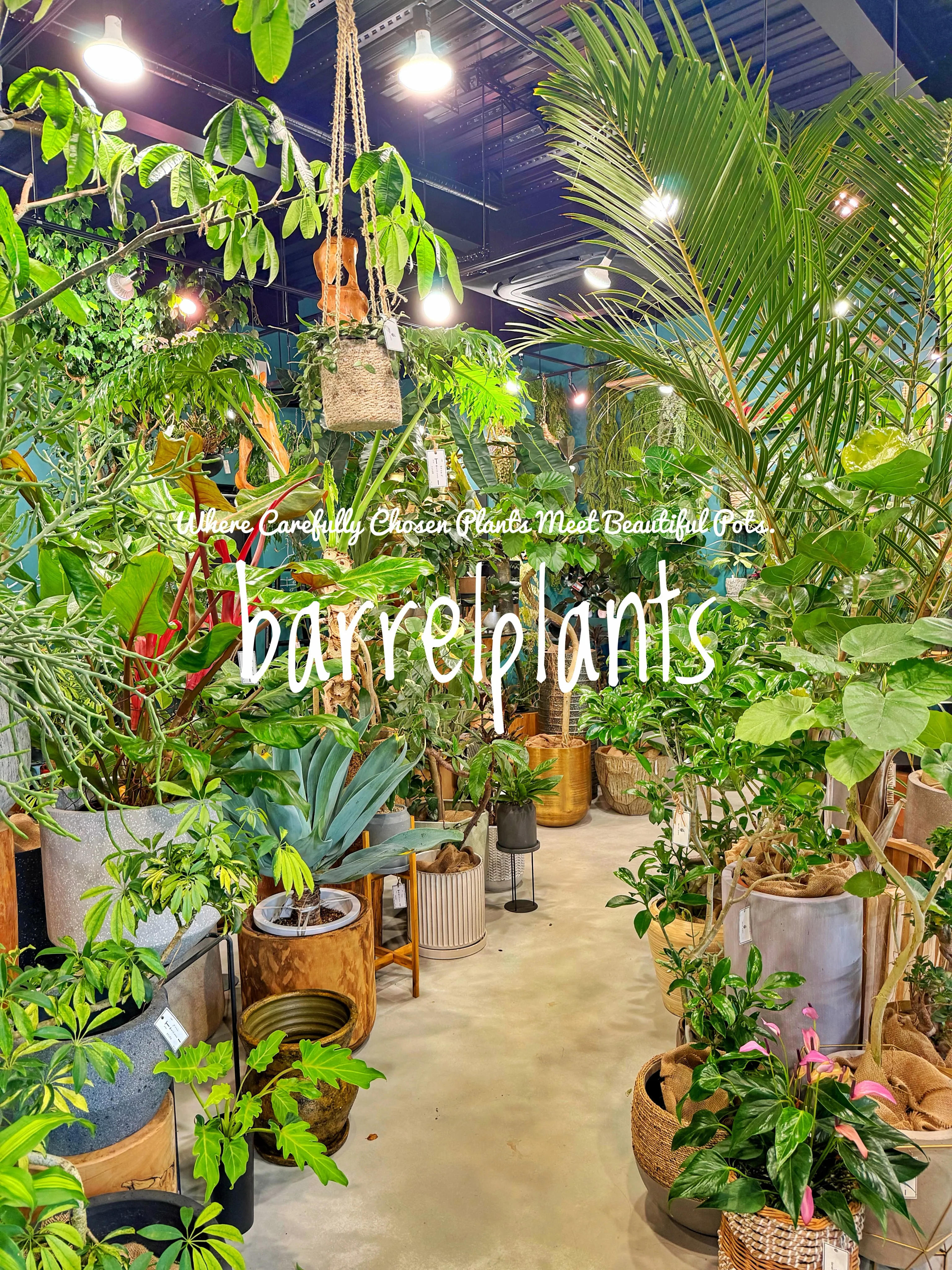 植物を選ぶ時間まで、心地よく。