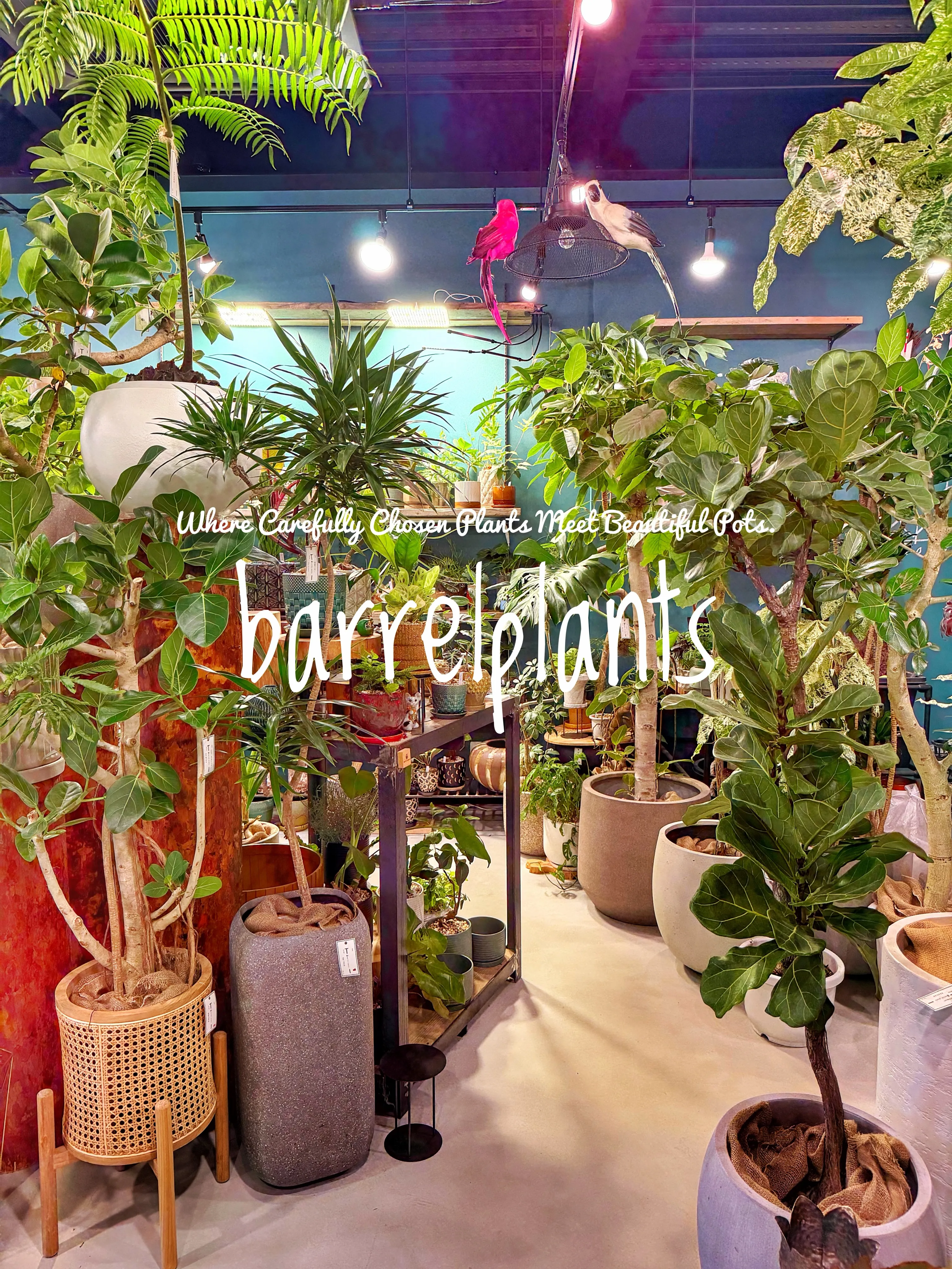 植物を選ぶ時間まで、心地よく。