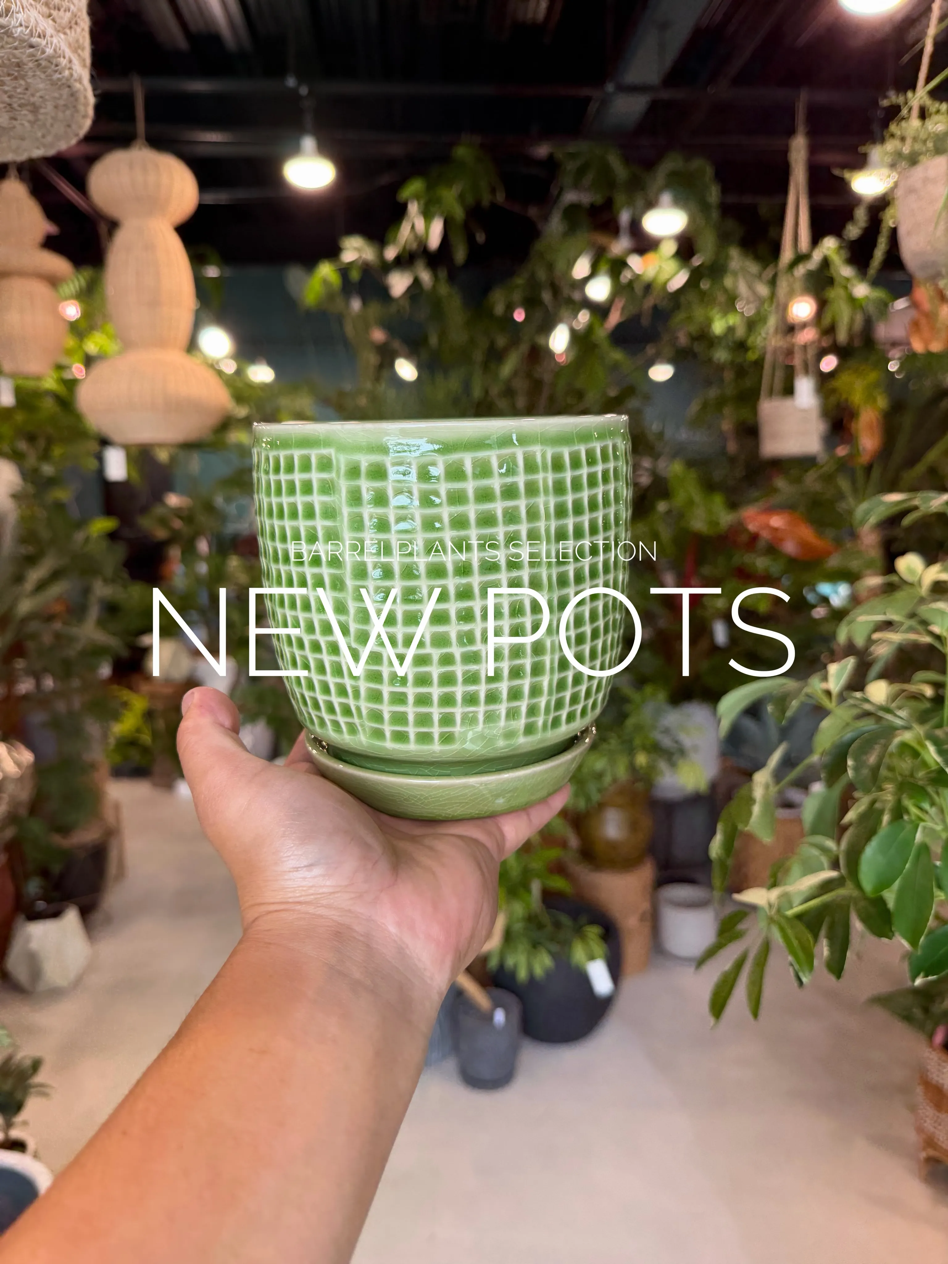 「植物を引き立てるのは、鉢のセンスぅ💓」