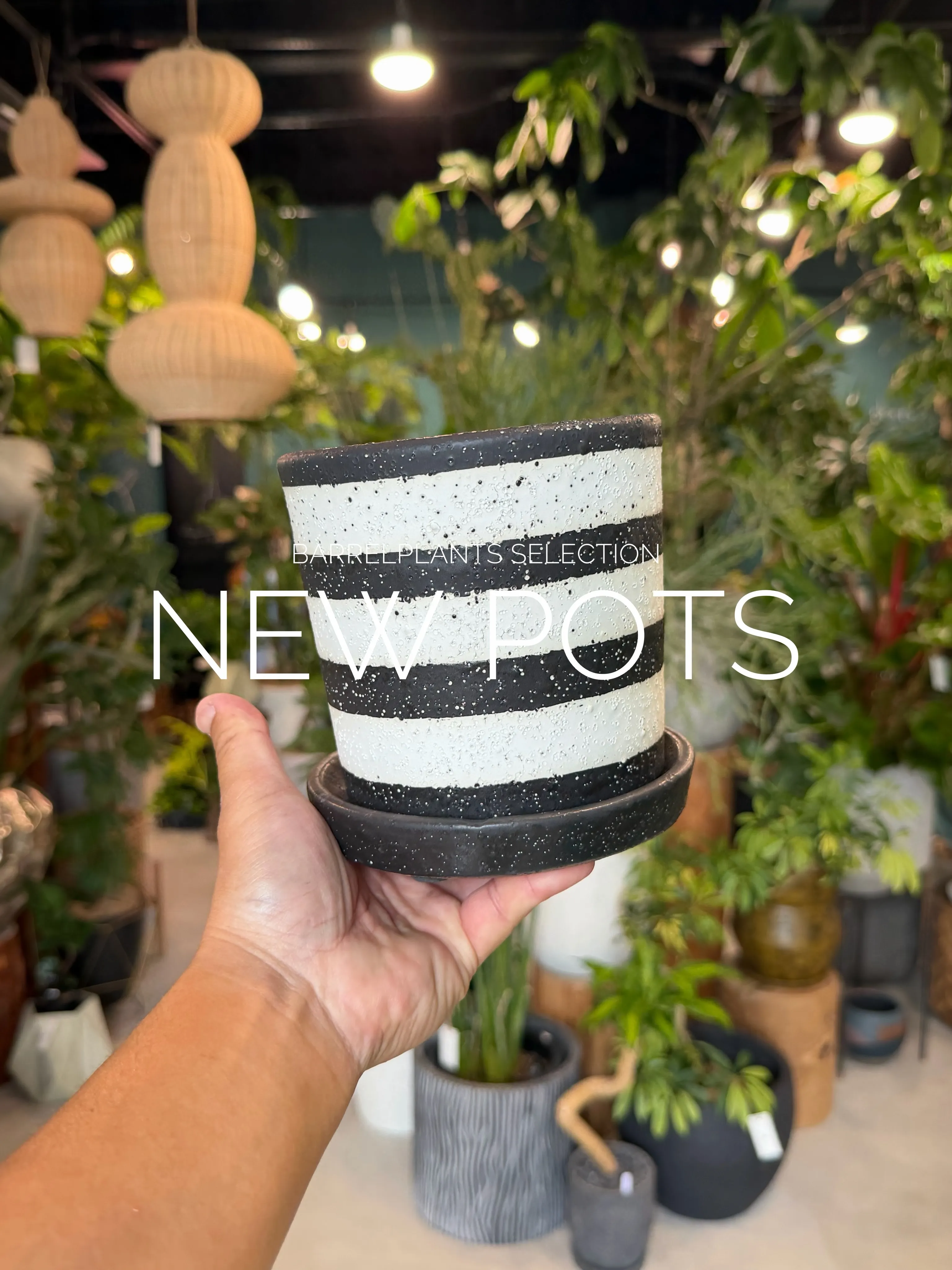 「植物を引き立てるのは、鉢のセンスぅ💓」