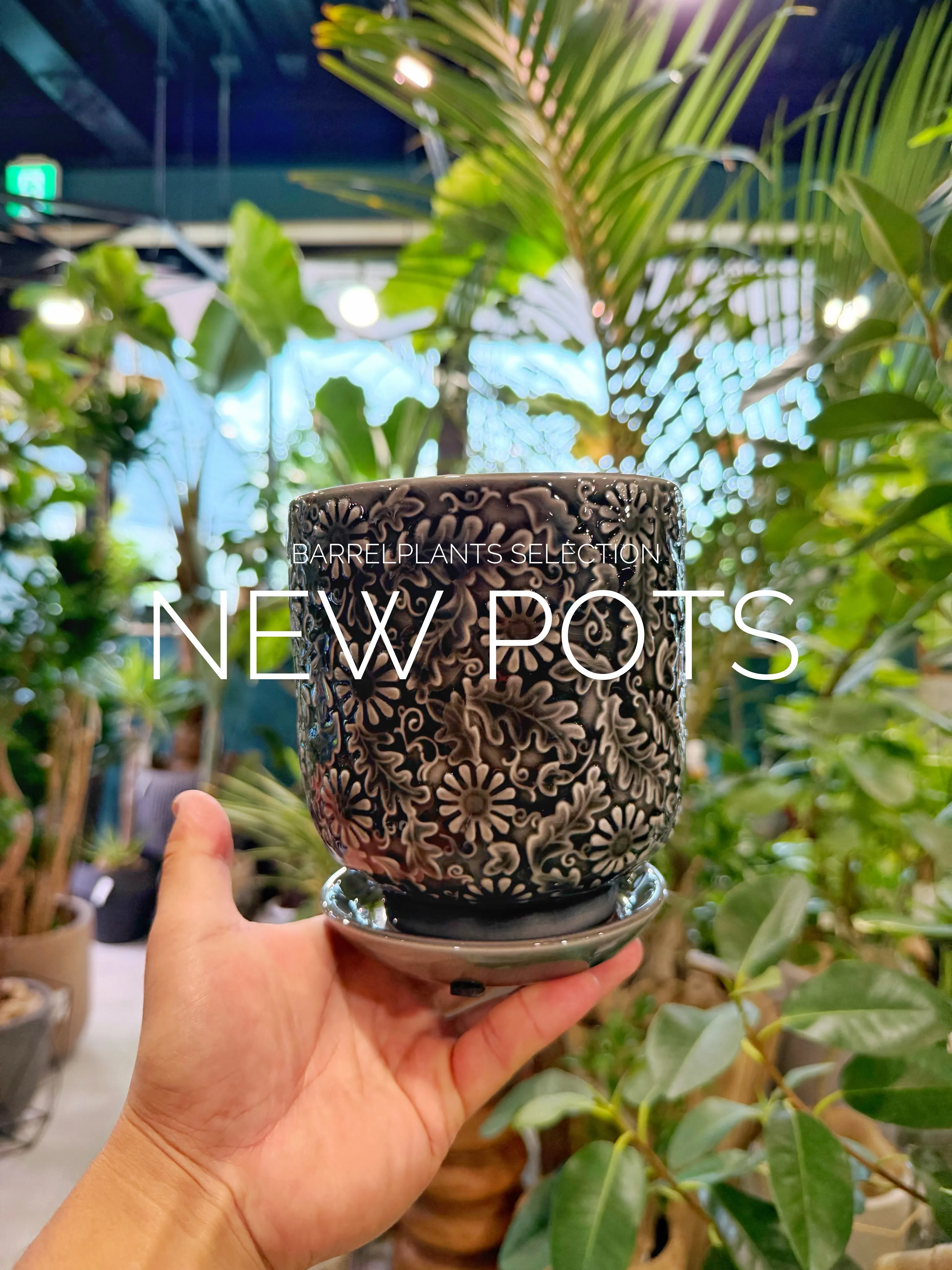 「植物を引き立てるのは、鉢のセンスぅ💓」