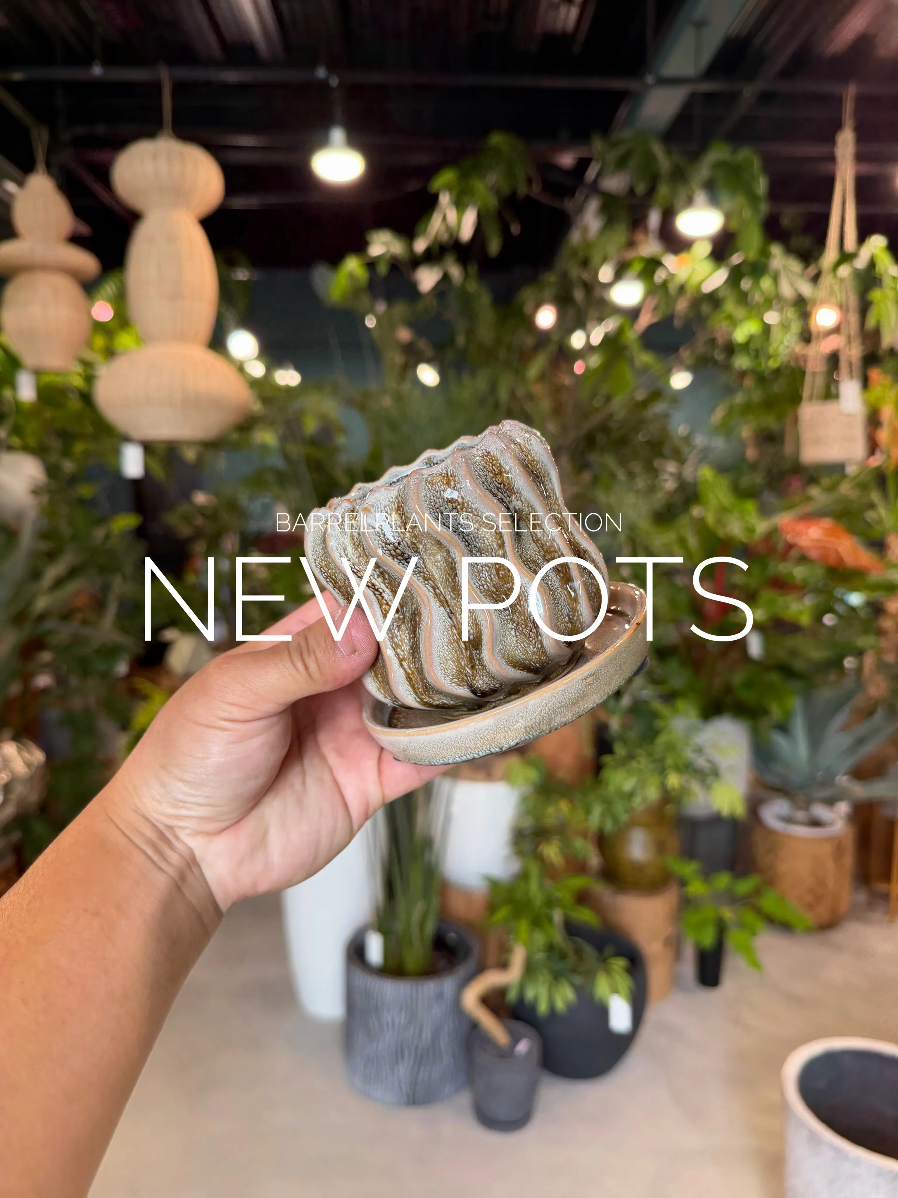 「植物を引き立てるのは、鉢のセンスぅ💓」