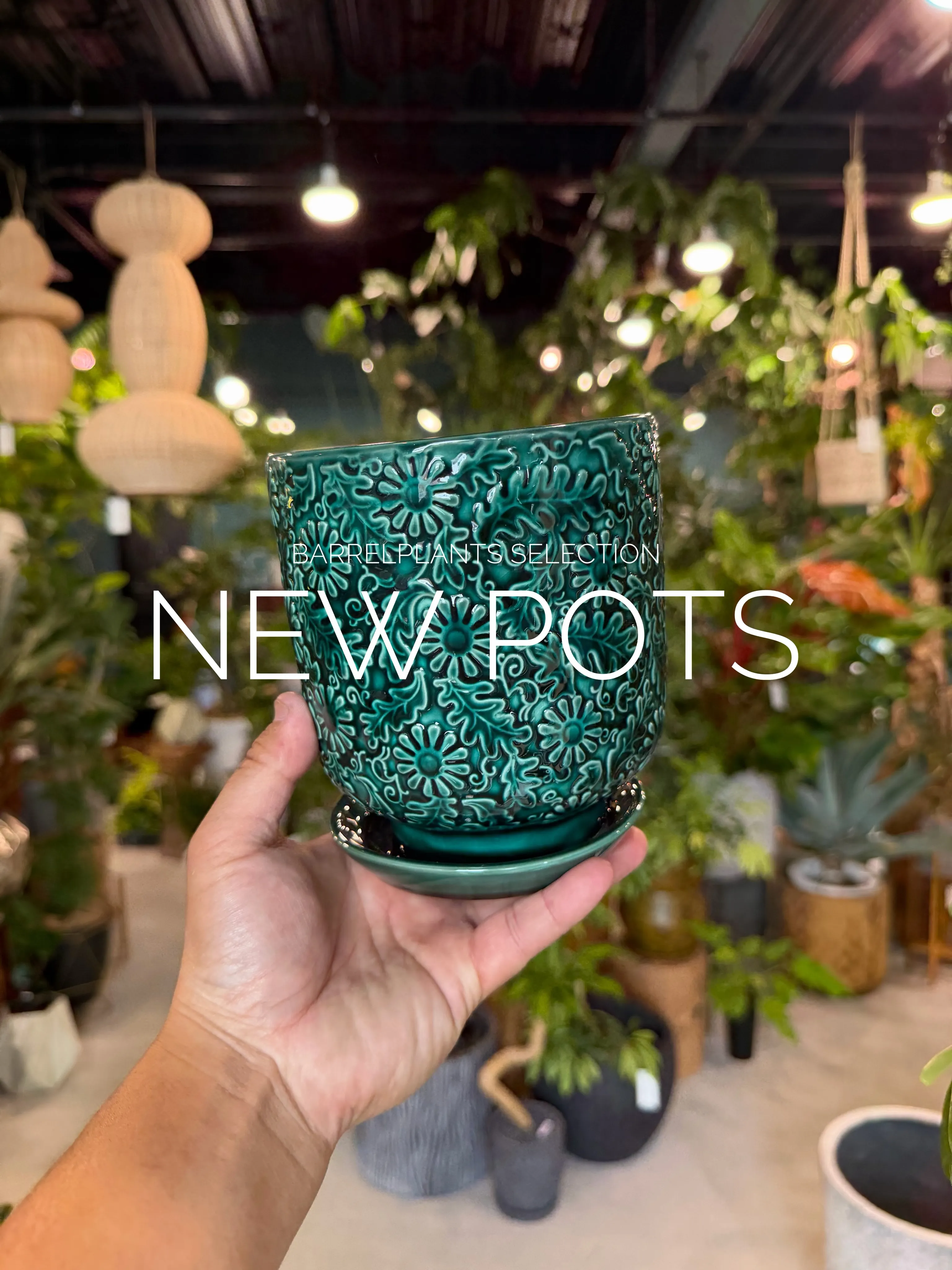 「植物を引き立てるのは、鉢のセンスぅ💓」