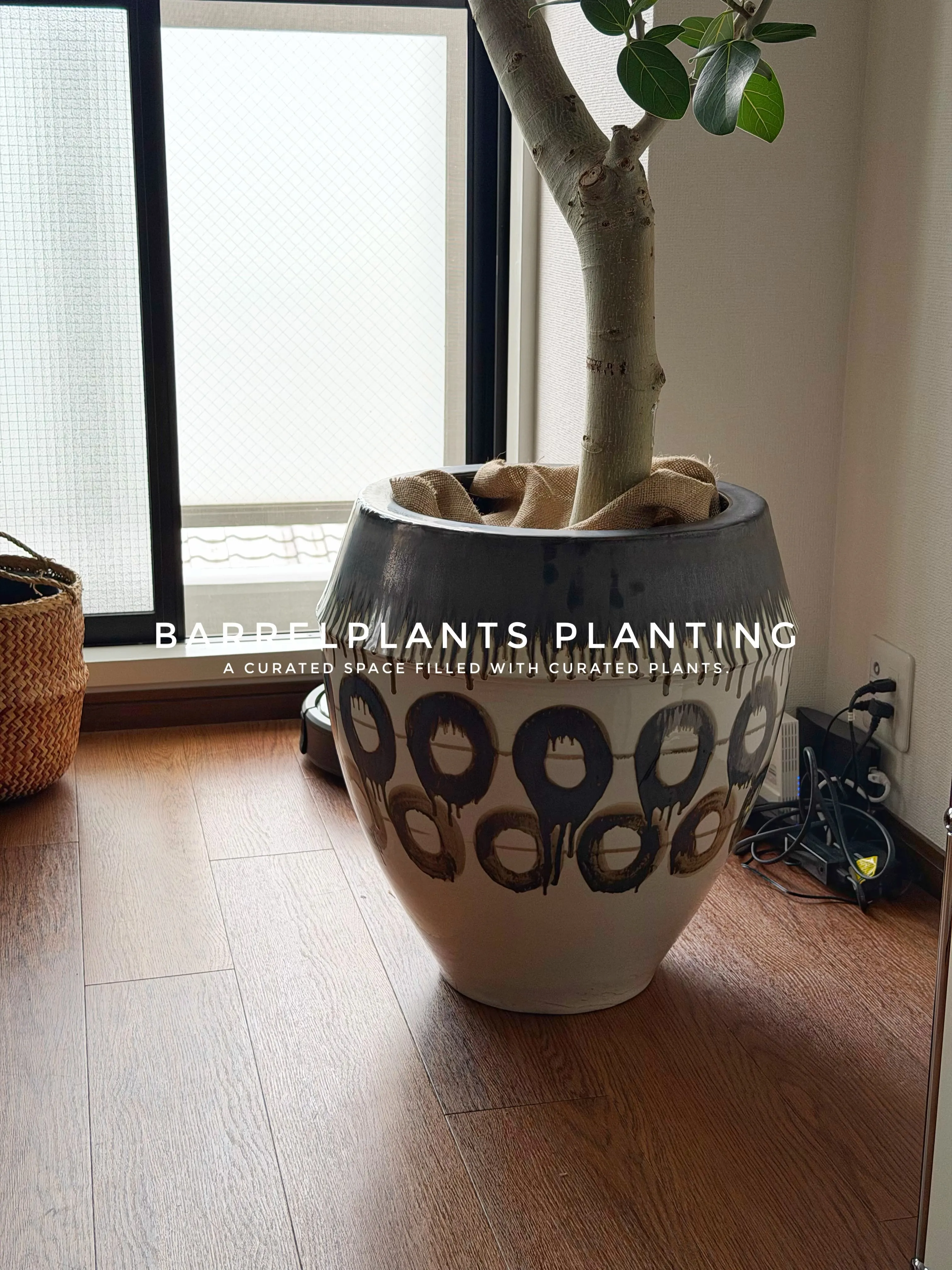 「植物が変わると、空間が変わる。