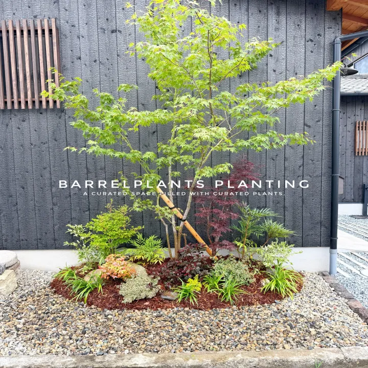 「植物が変わると、空間が変わる。