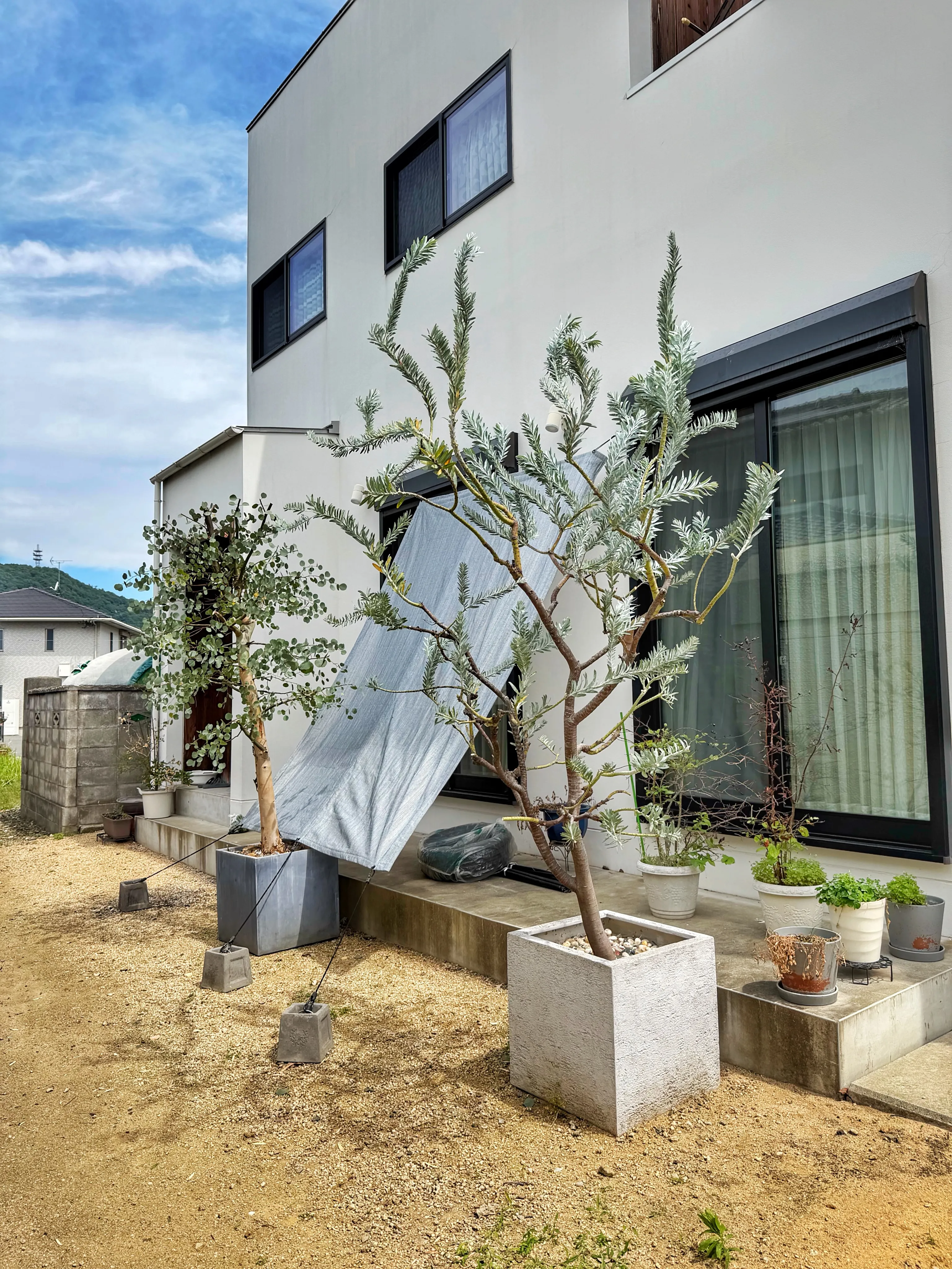 「植物が変わると、空間が変わる。