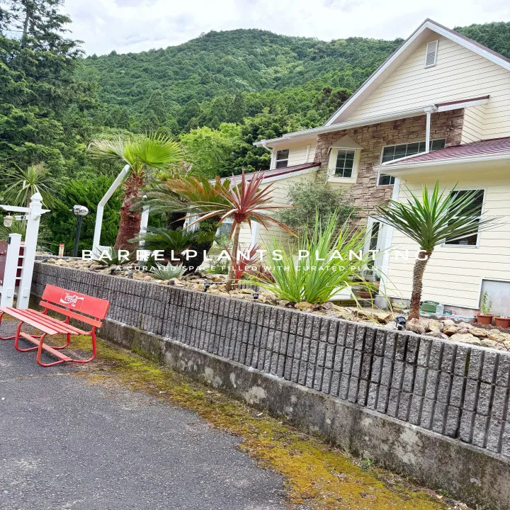 「植物が変わると、空間が変わる。