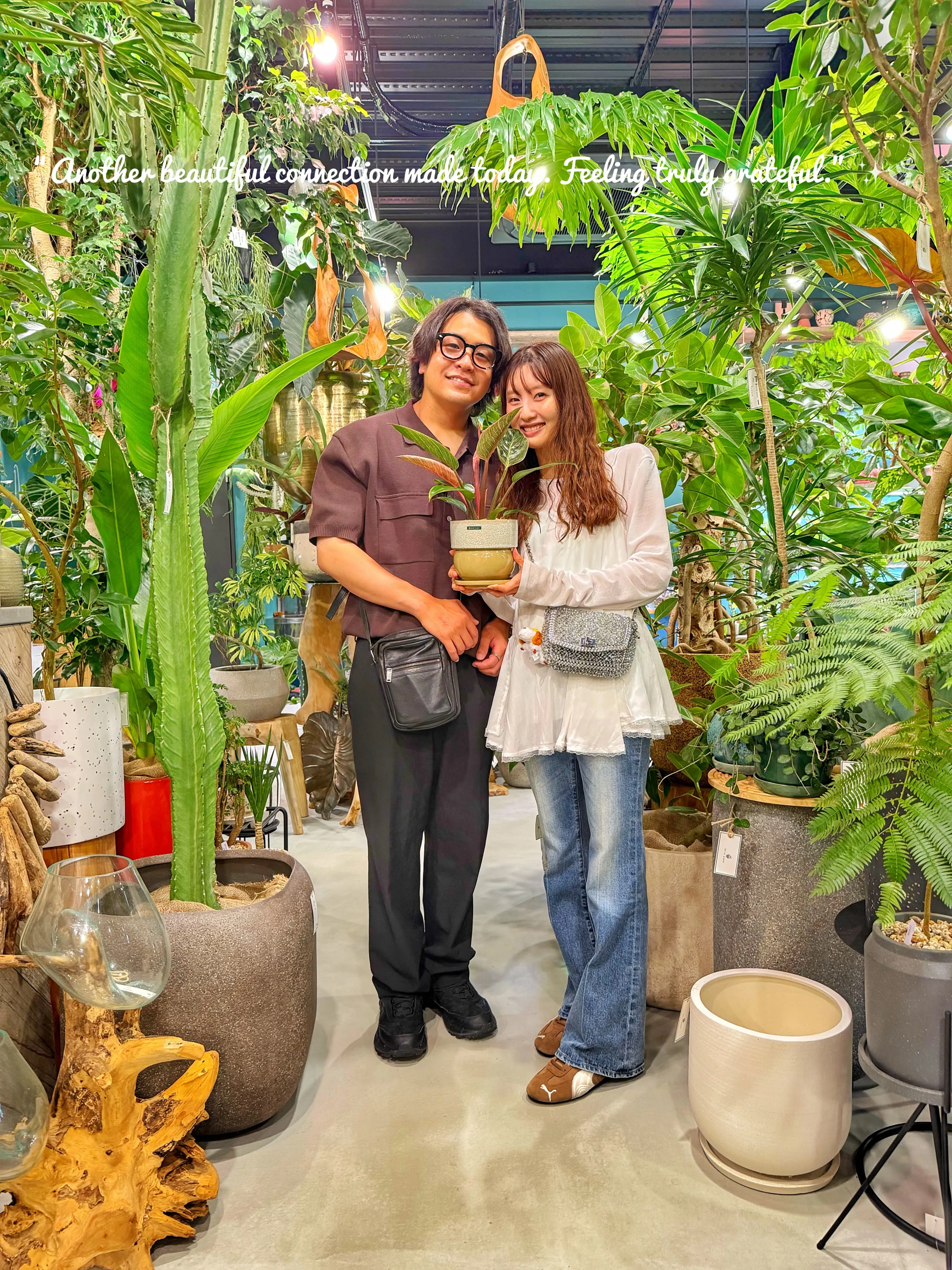 「植物を買う日じゃない。