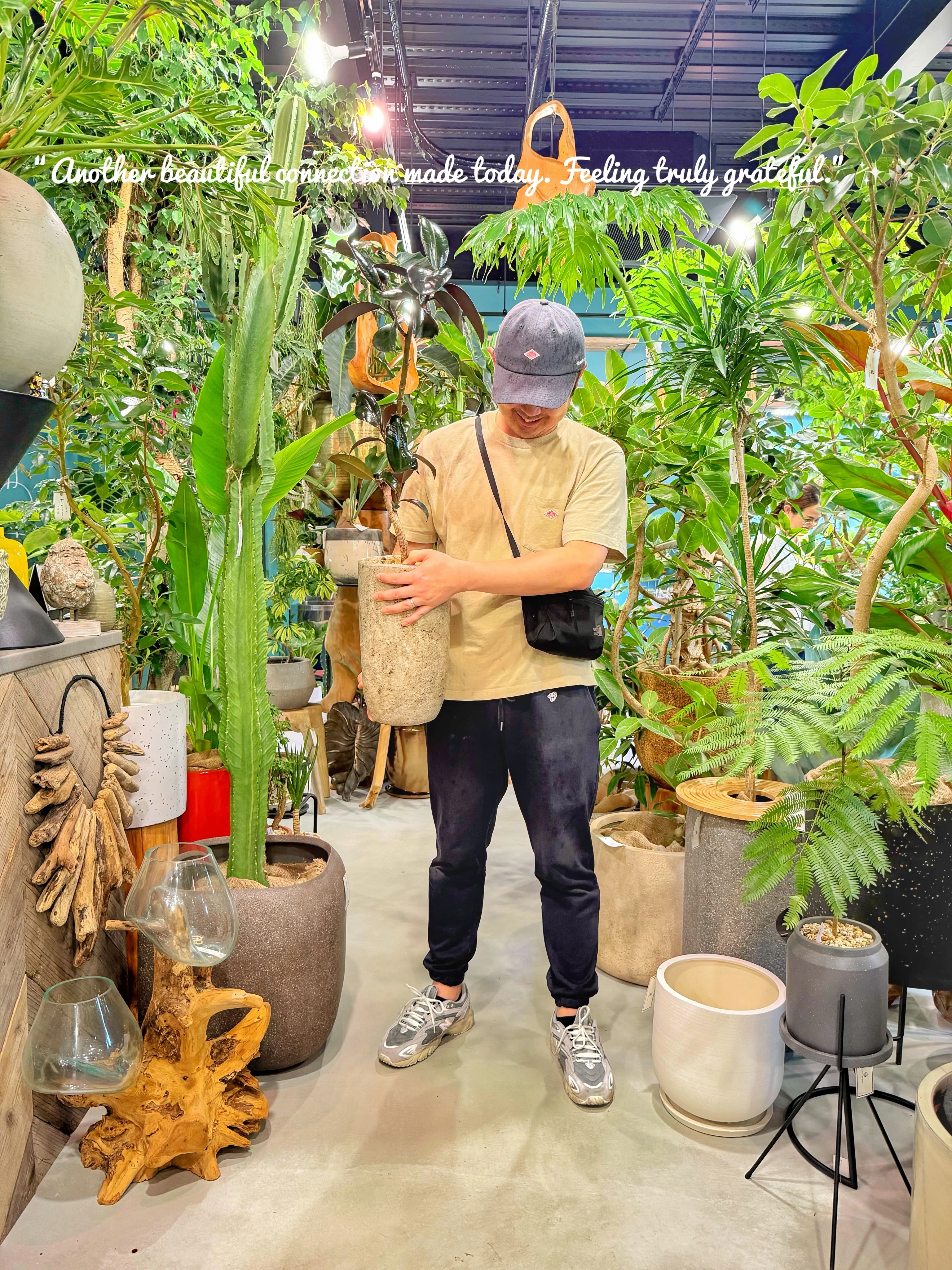 「植物を買う日じゃない。