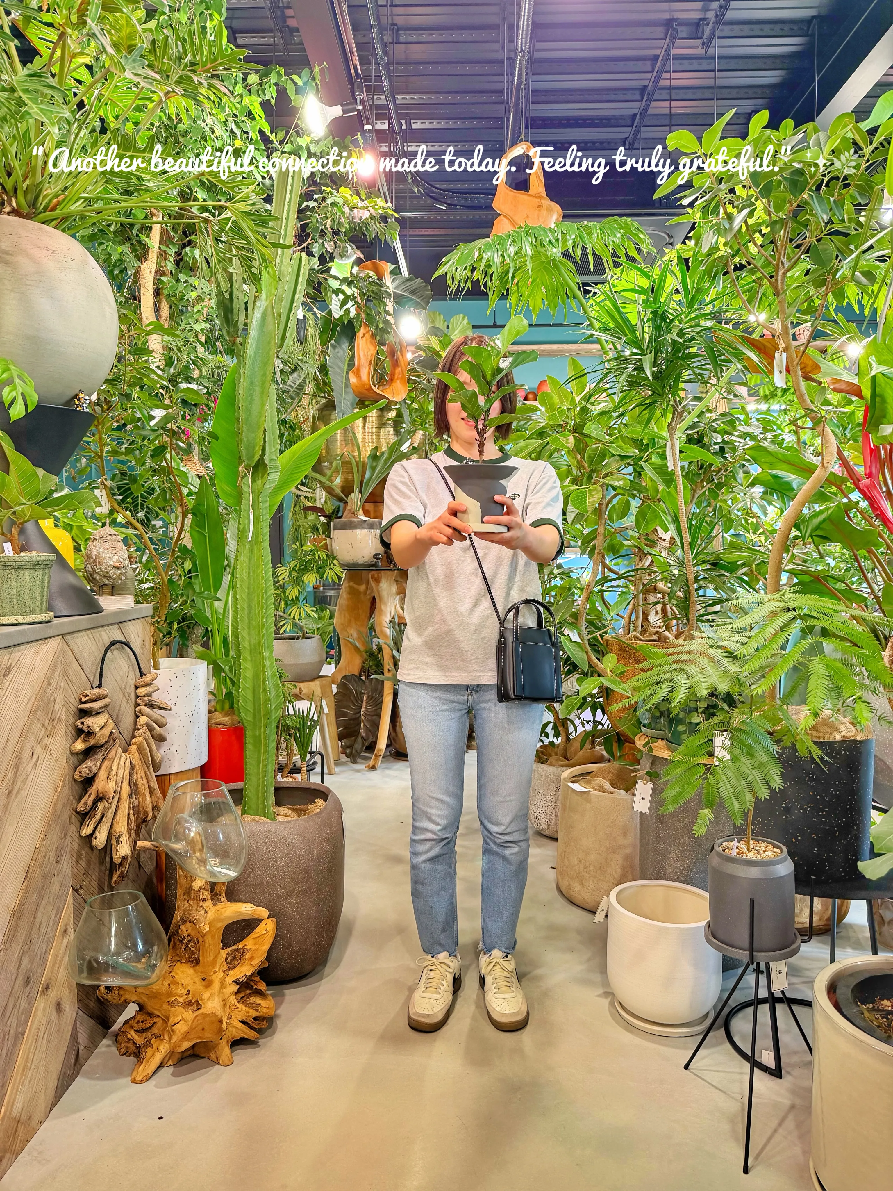 「植物を買う日じゃない。