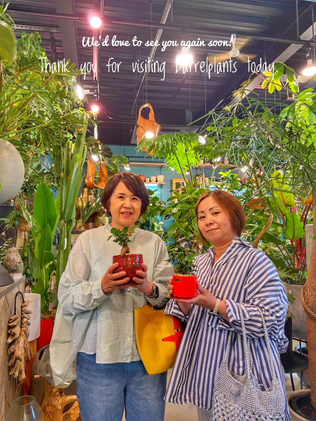 「植物を買う日じゃない。