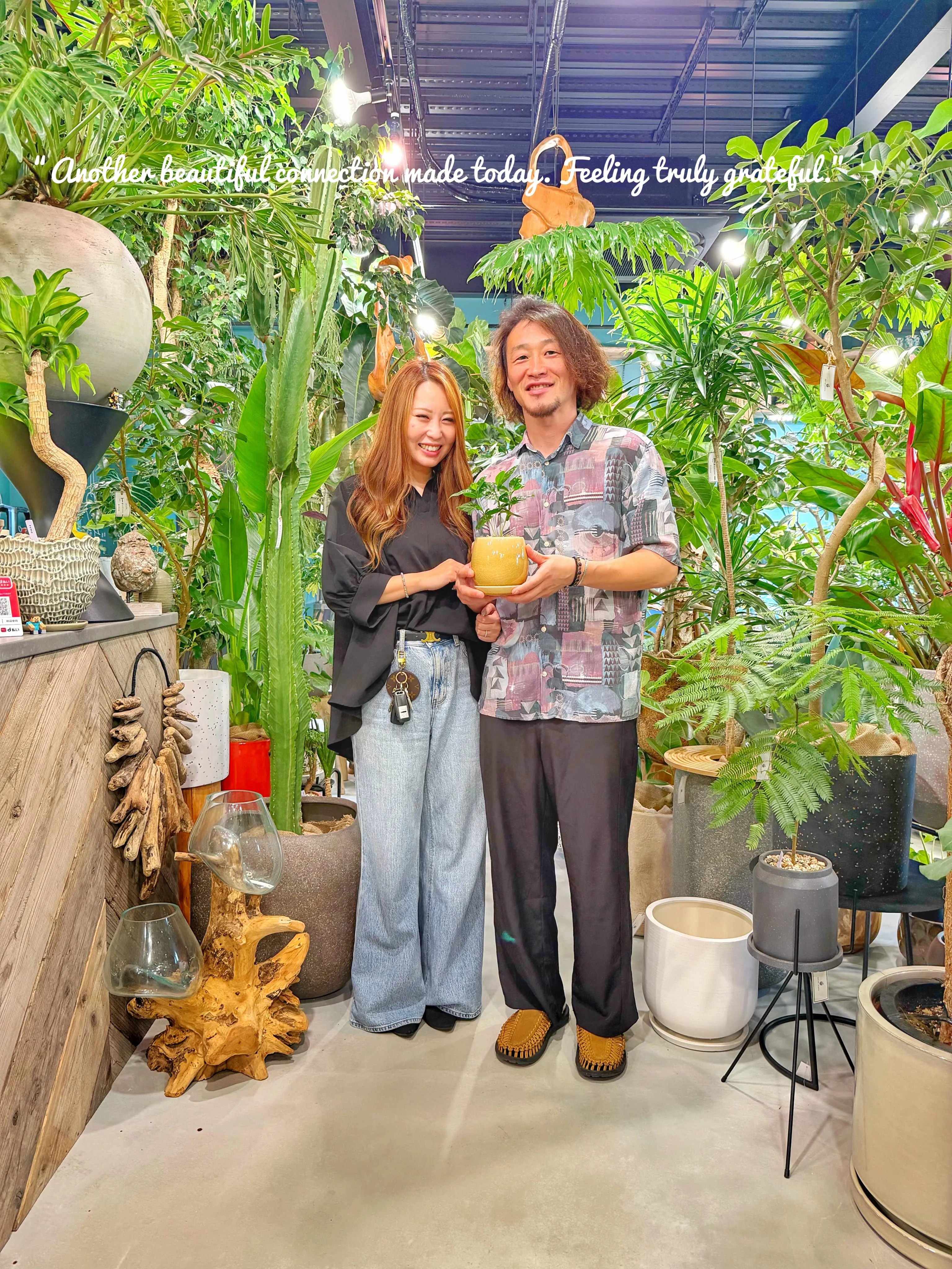 「植物を買う日じゃない。