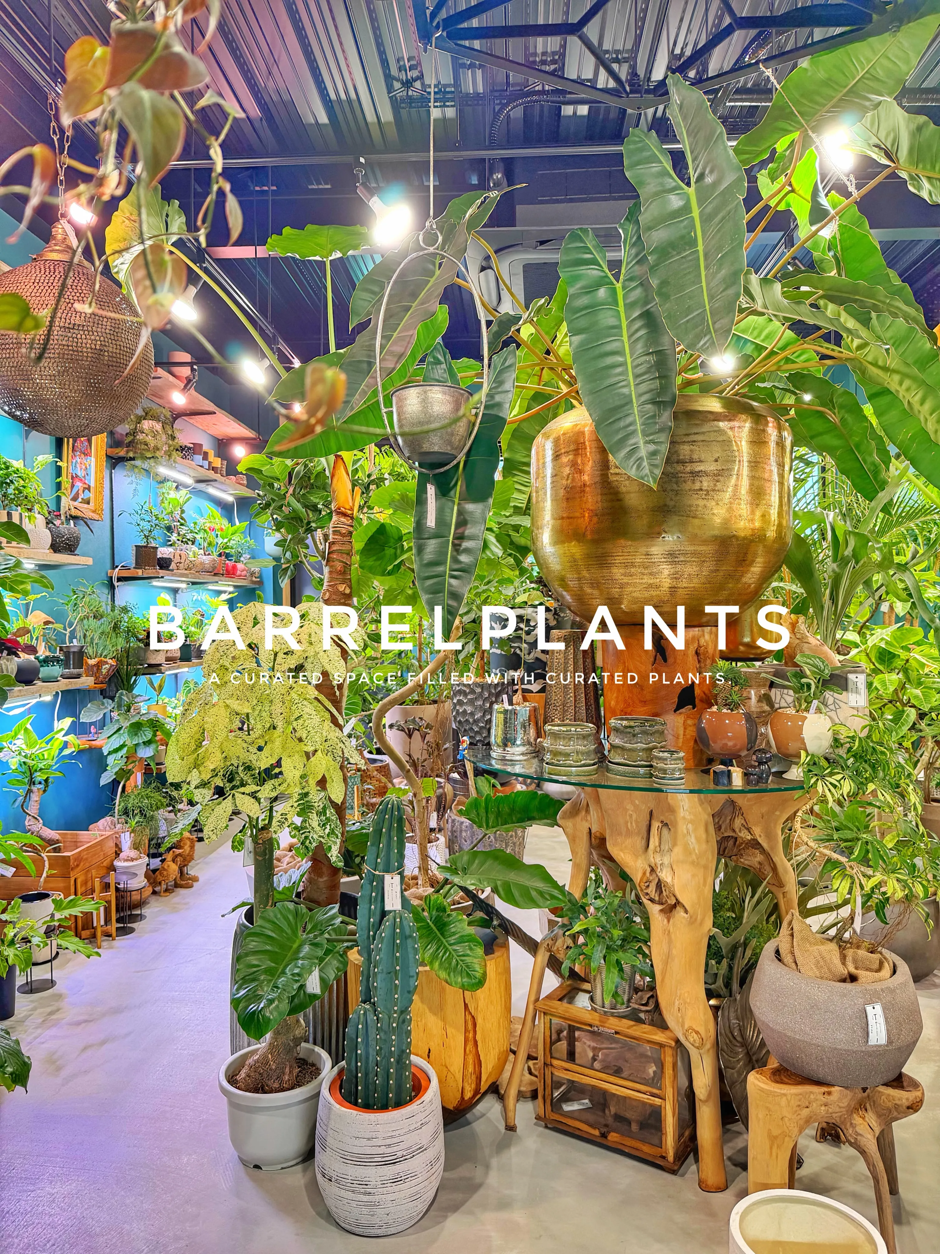「気づけば、植物に囲まれていた。