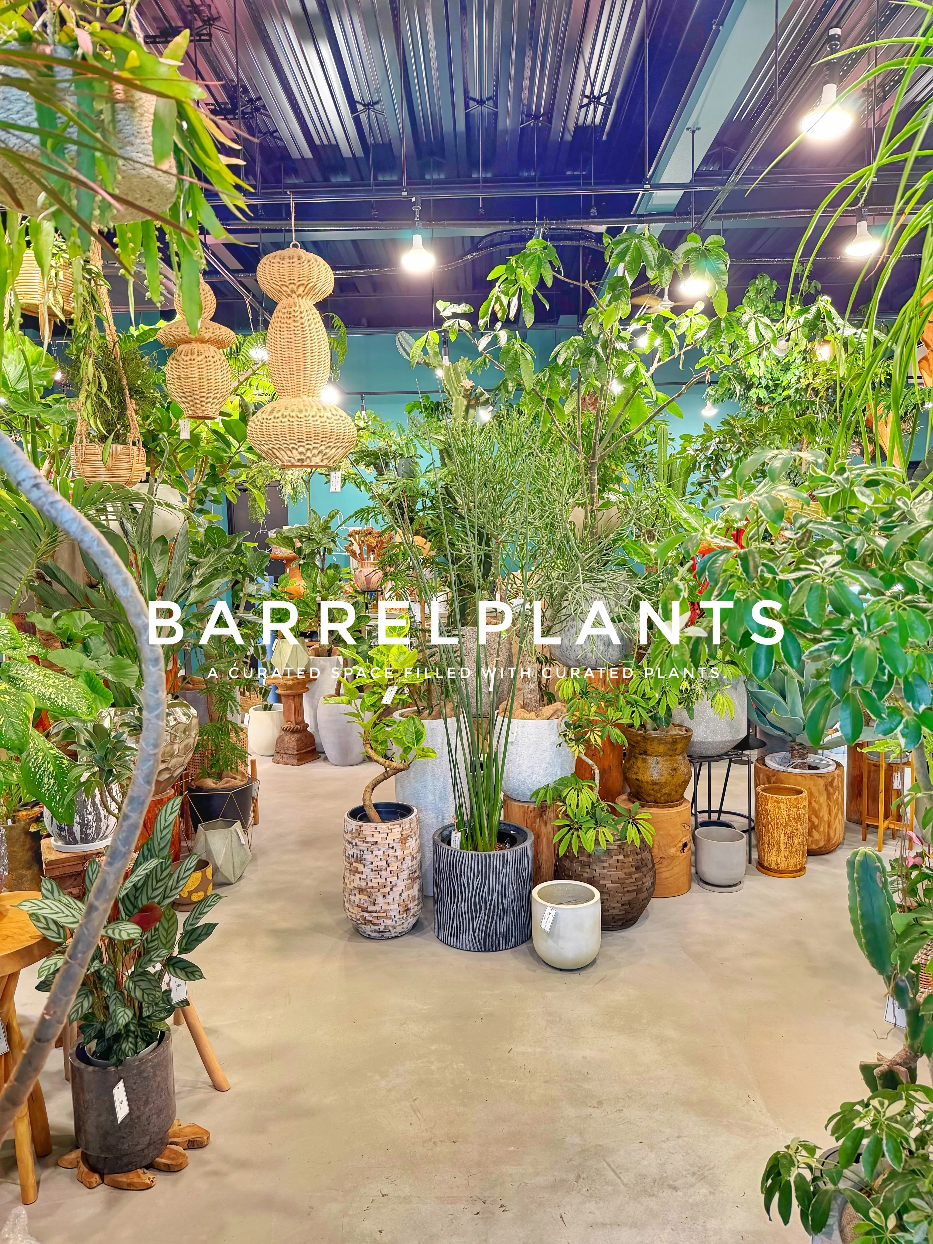 「気づけば、植物に囲まれていた。