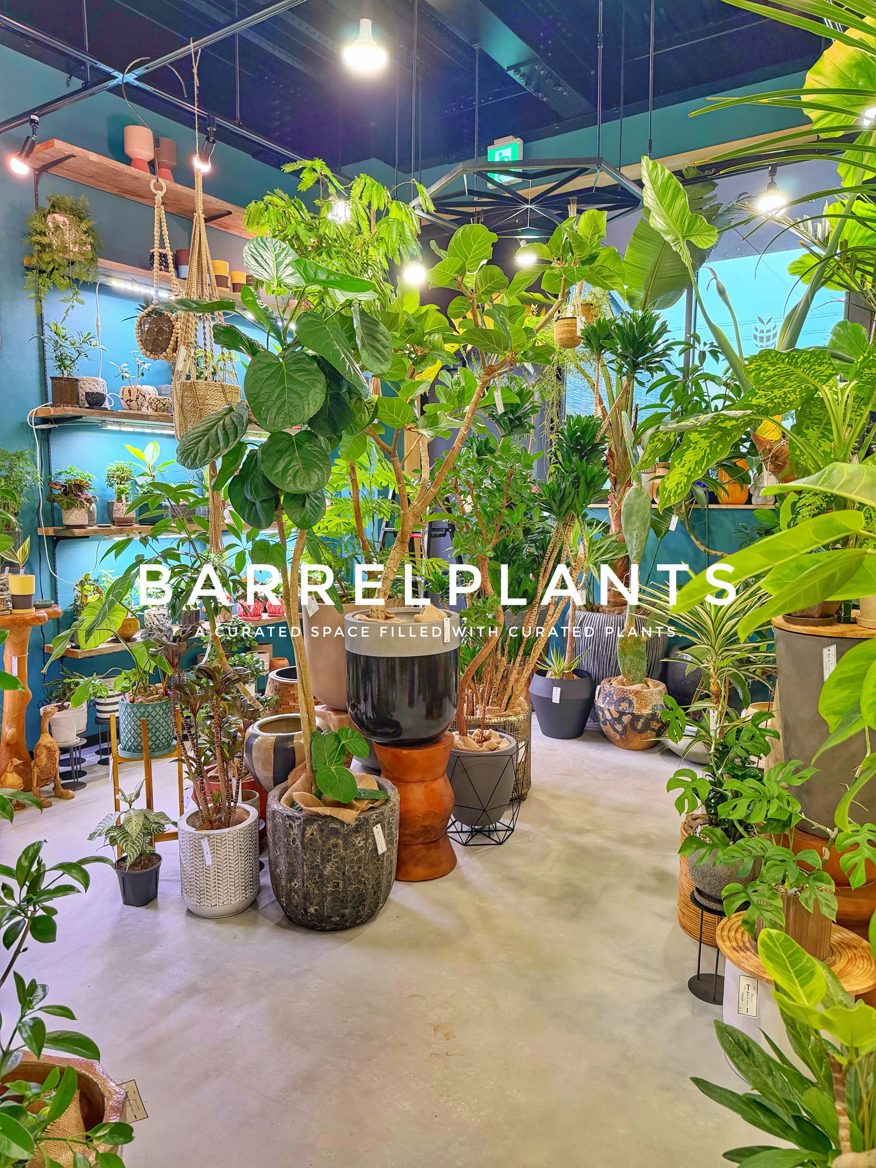 「気づけば、植物に囲まれていた。
