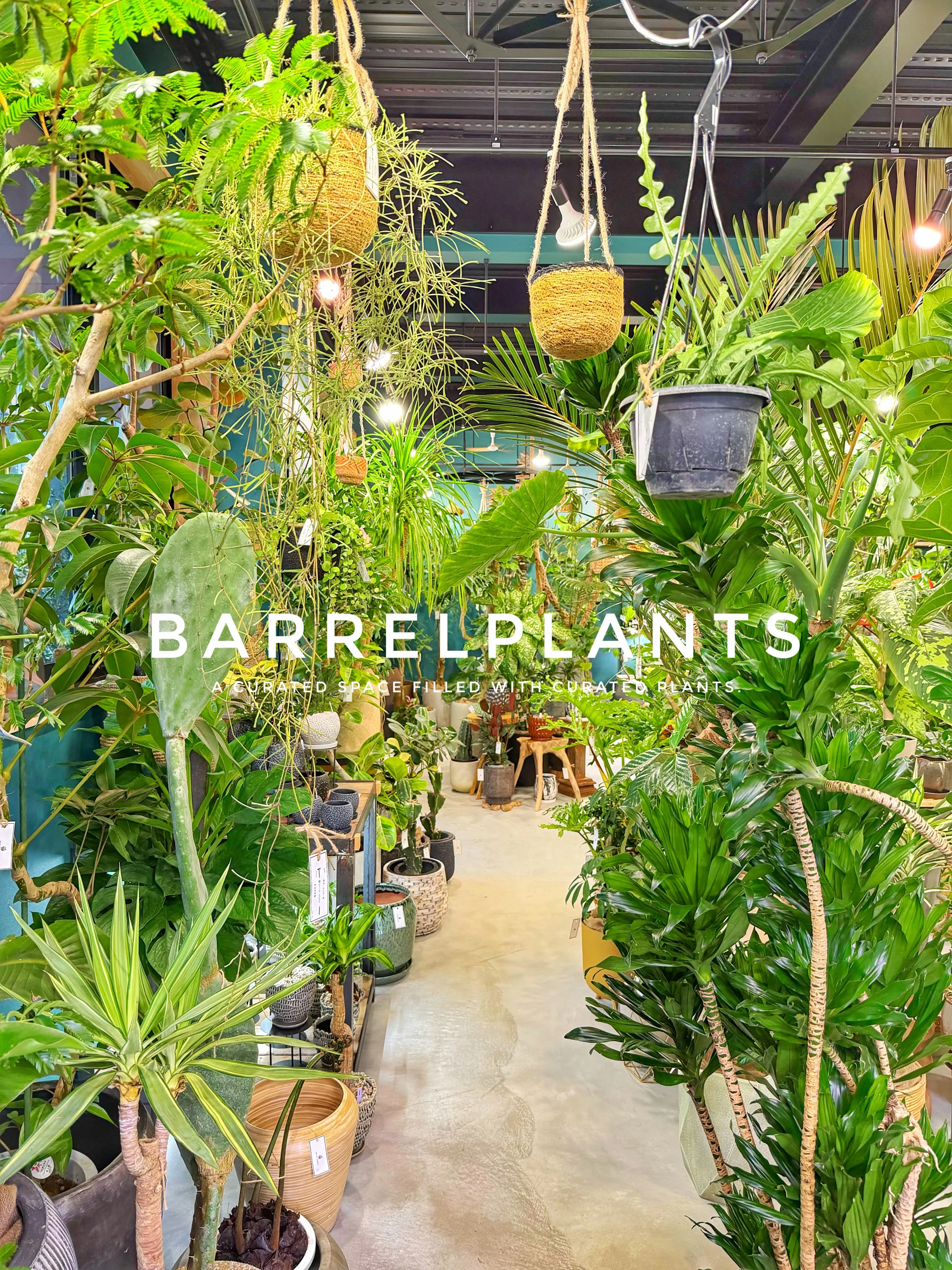 「気づけば、植物に囲まれていた。
