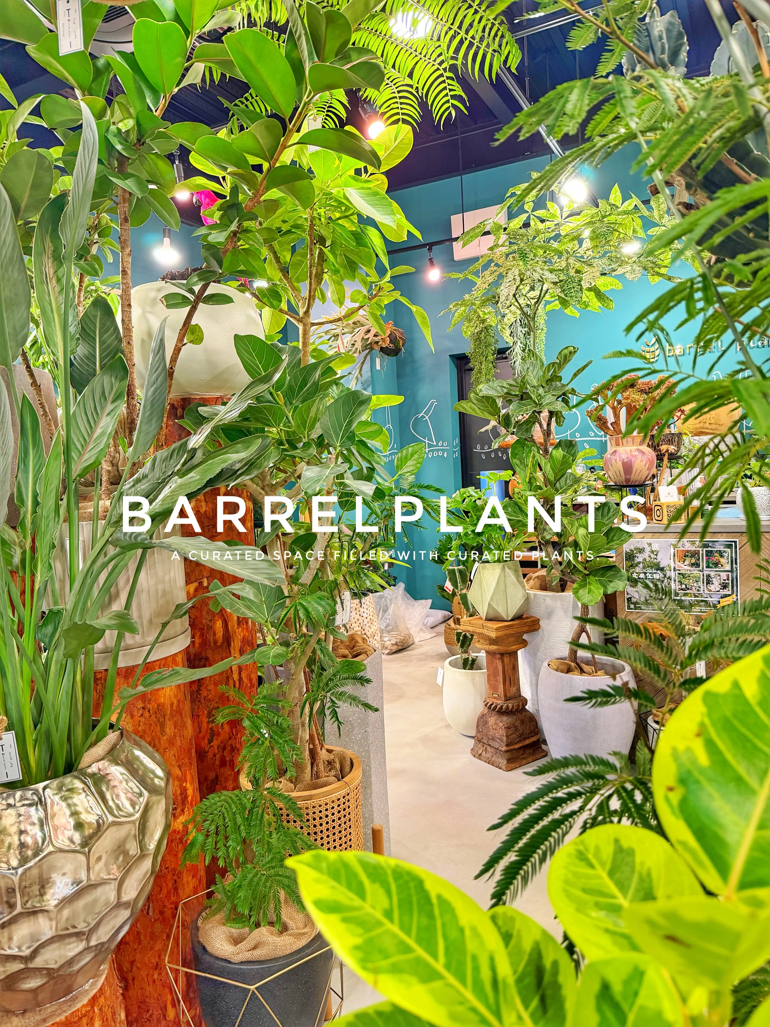 「気づけば、植物に囲まれていた。