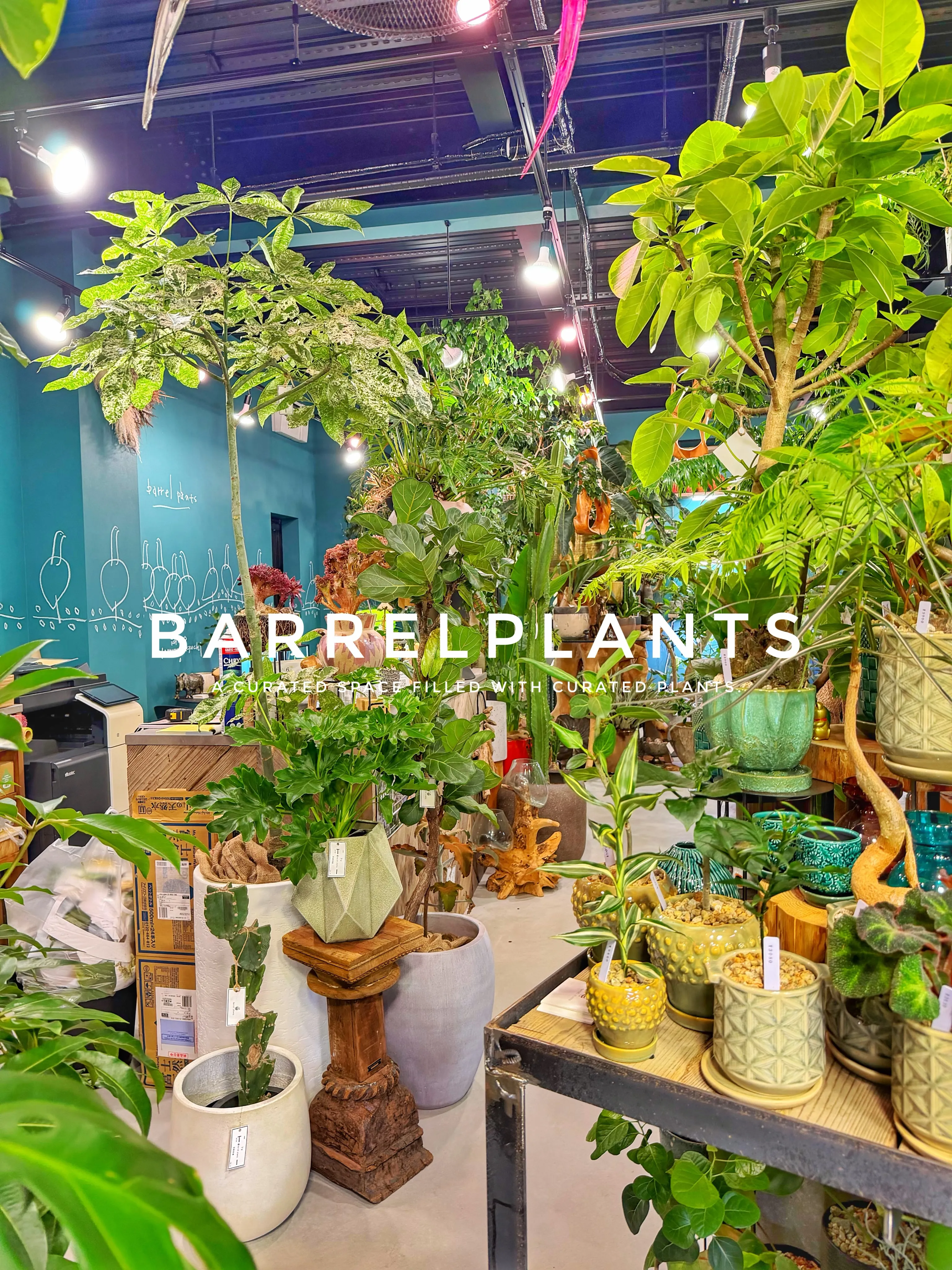 「気づけば、植物に囲まれていた。