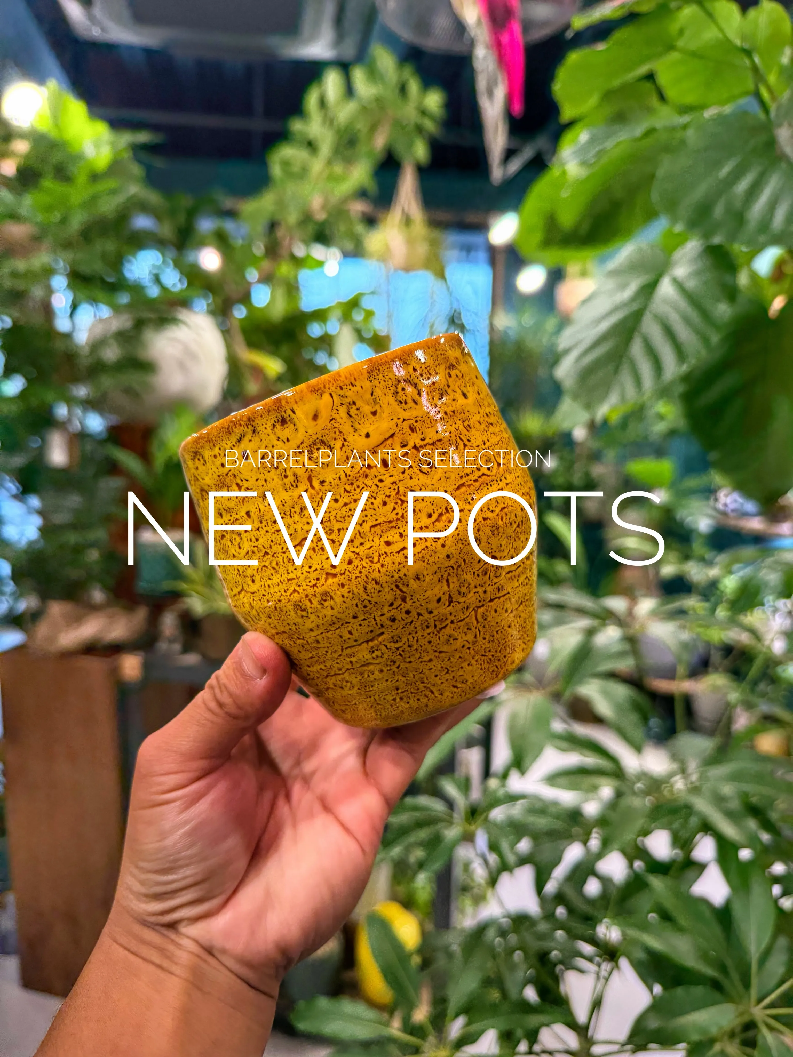 「植物を飾る器にも、こだわりを。