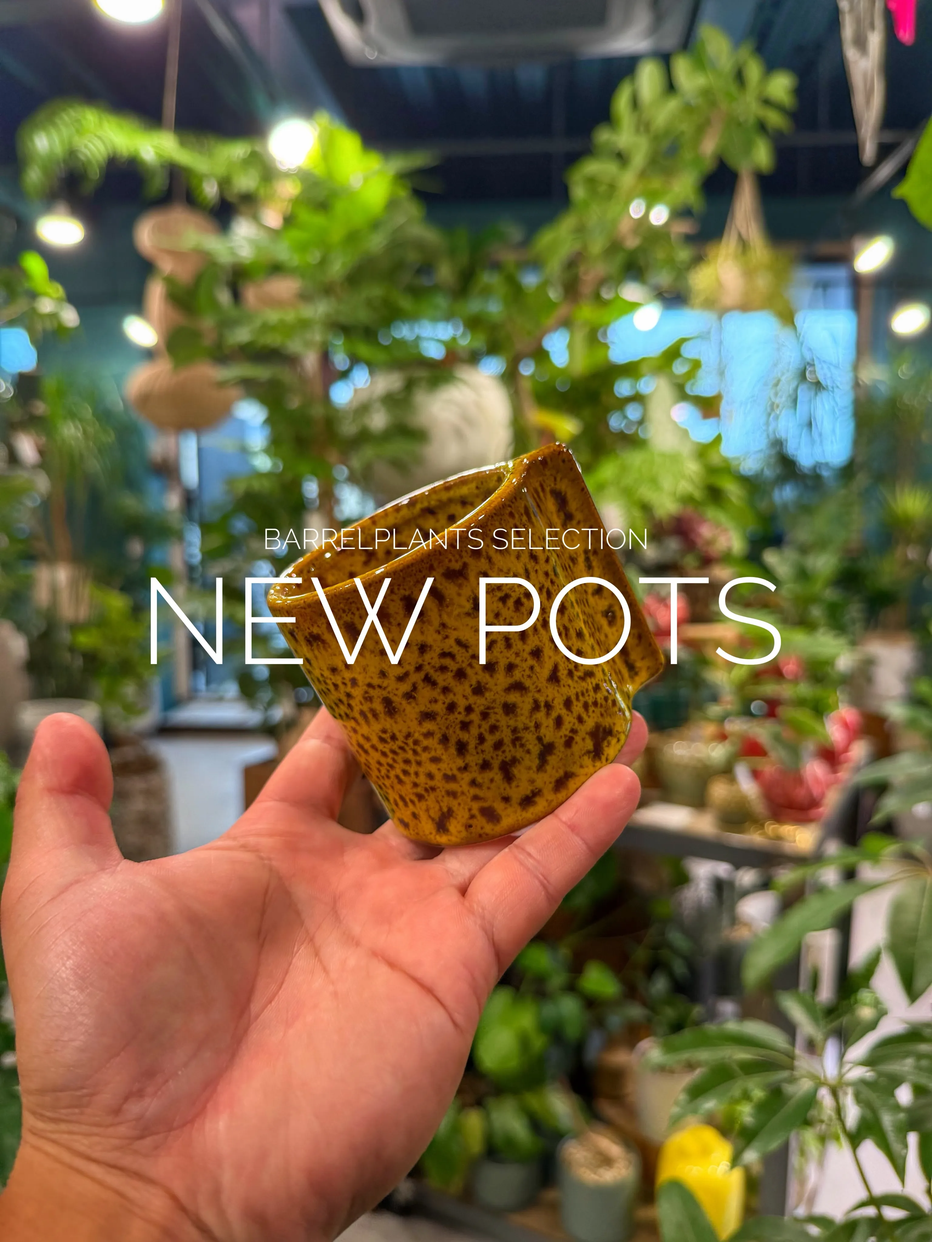 「植物を飾る器にも、こだわりを。