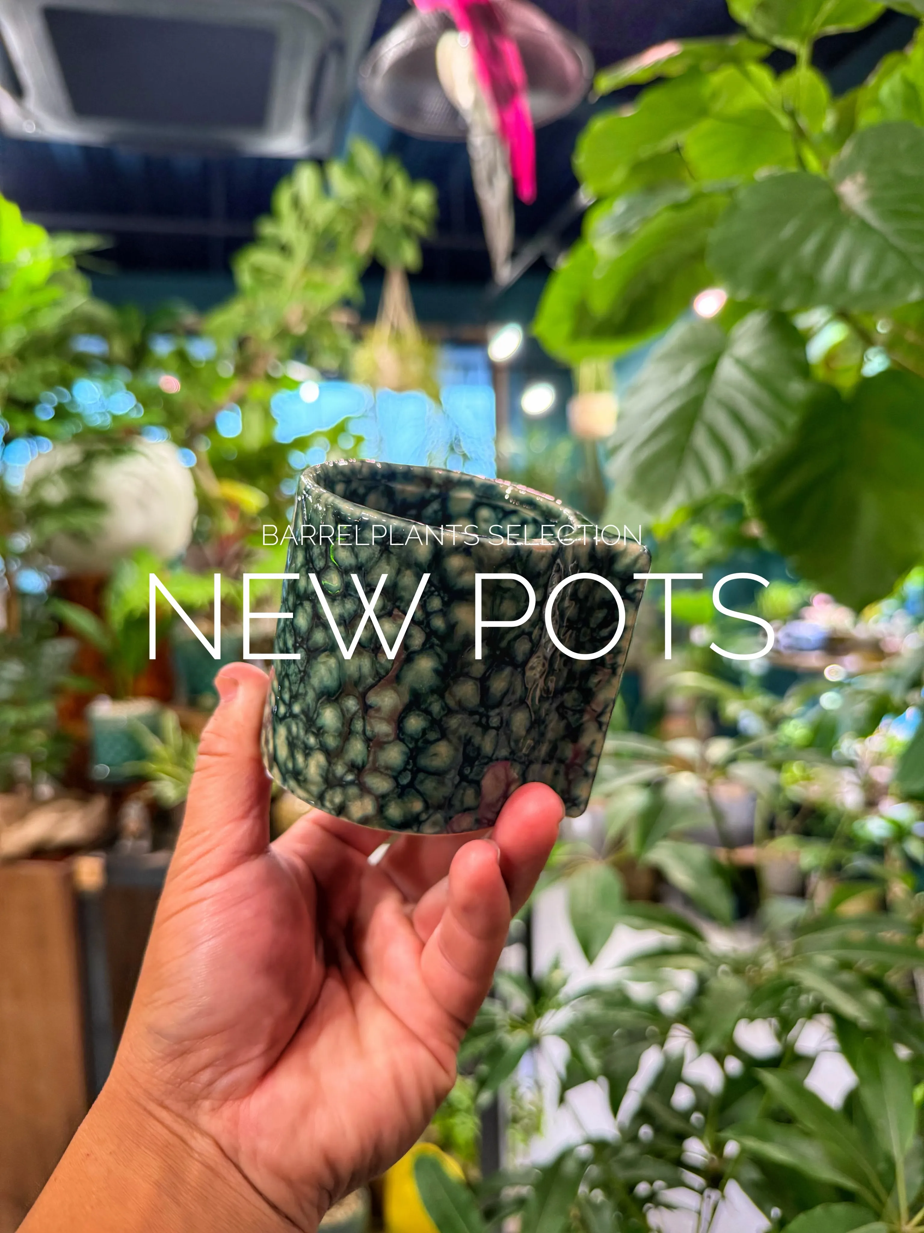 「植物を飾る器にも、こだわりを。