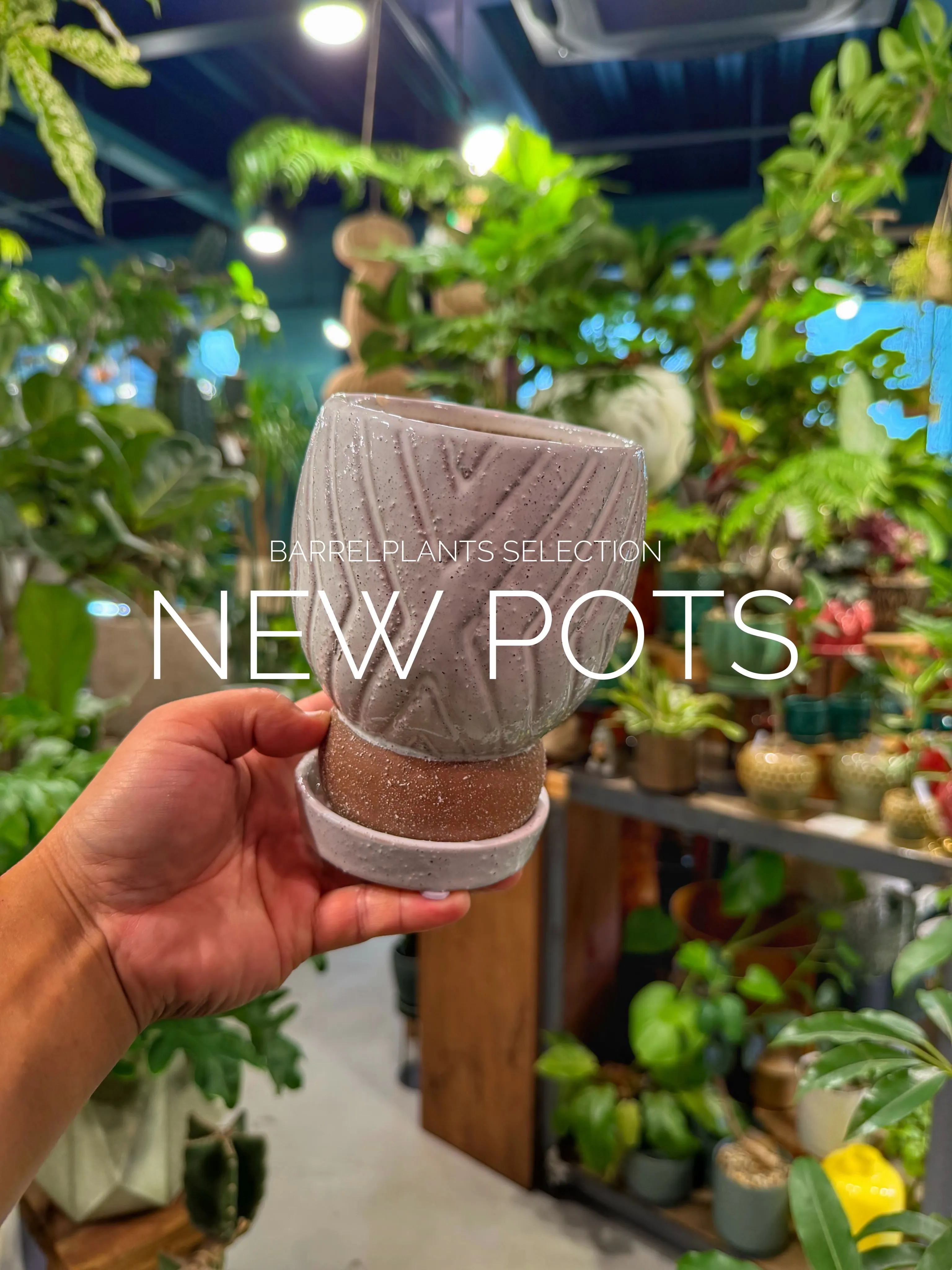「植物を飾る器にも、こだわりを。