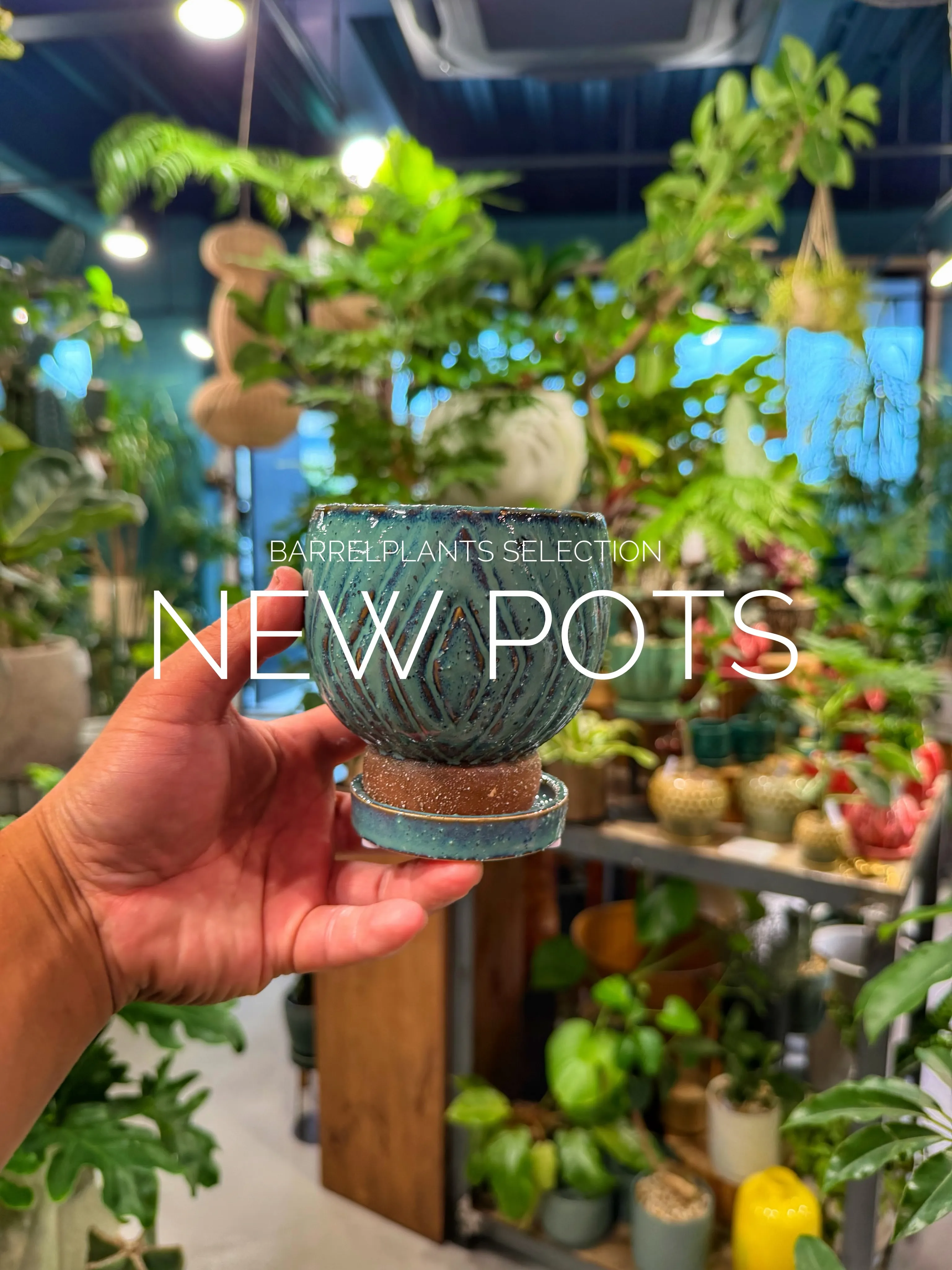 「植物を飾る器にも、こだわりを。